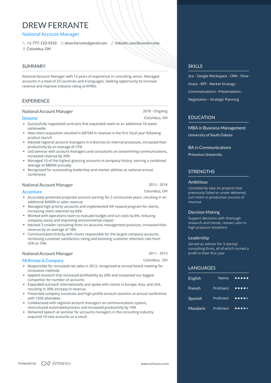 National Account Manager Resume Example