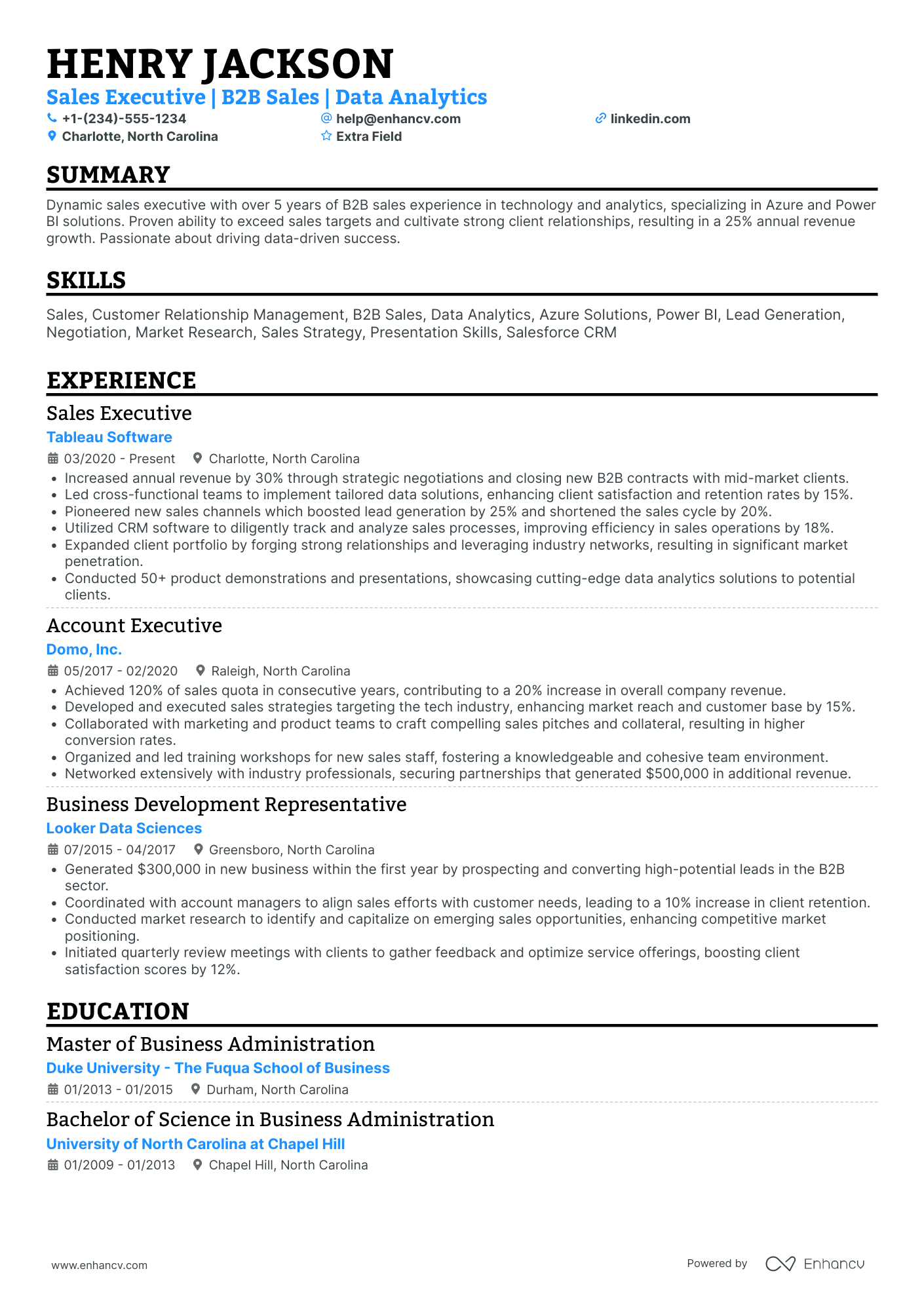 International Sales Executive Resume Example