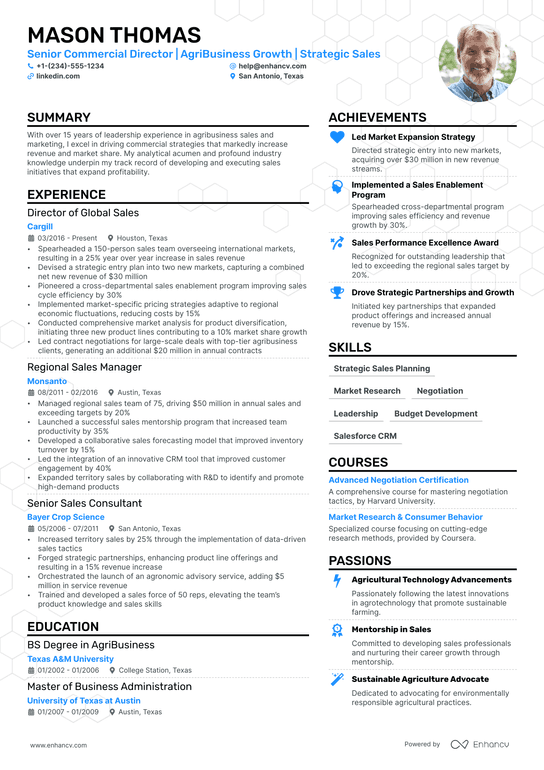 Commercial Director Resume Example