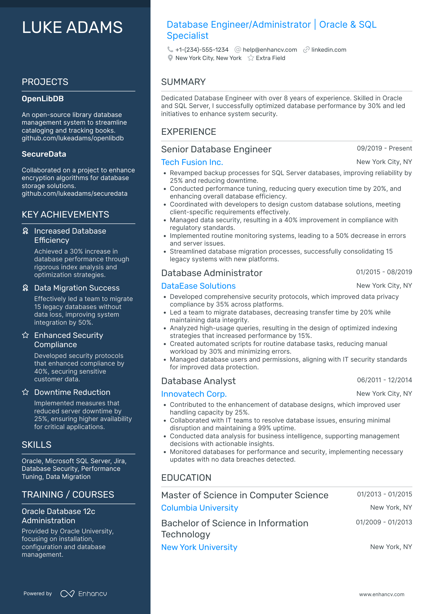 SQL Developer Coordinator Resume Example