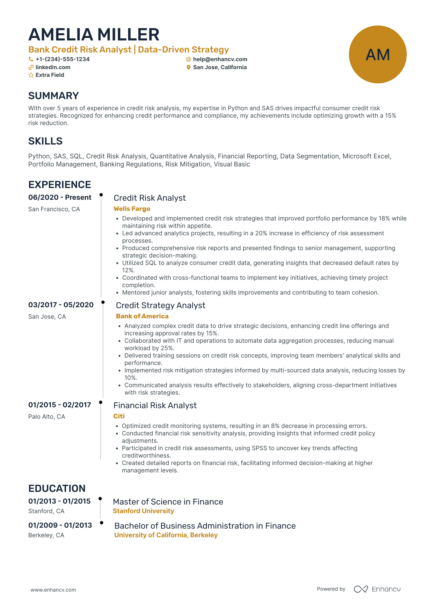 Banking Risk Analyst Resume Example