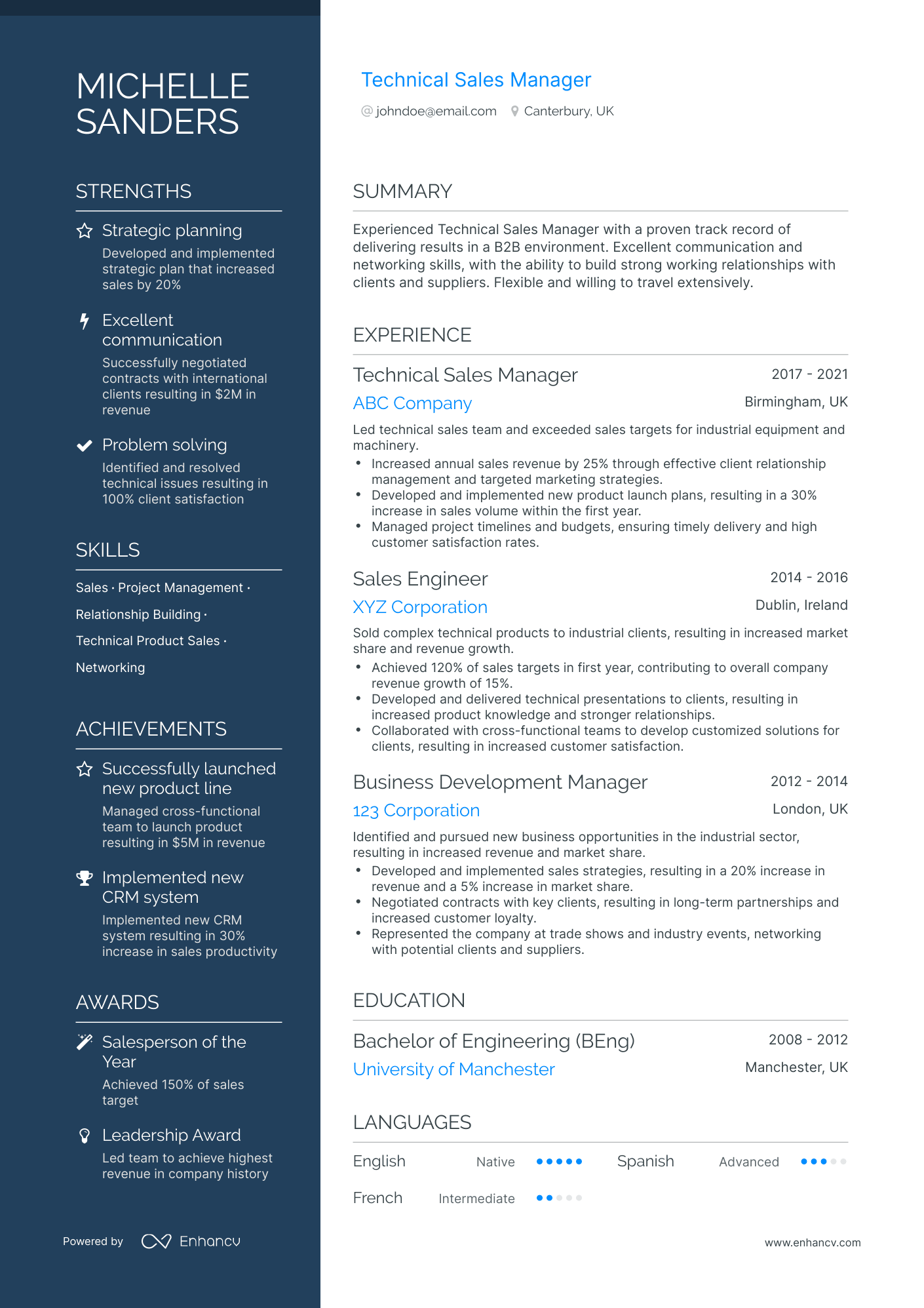 Technical Sales Manager Resume Example