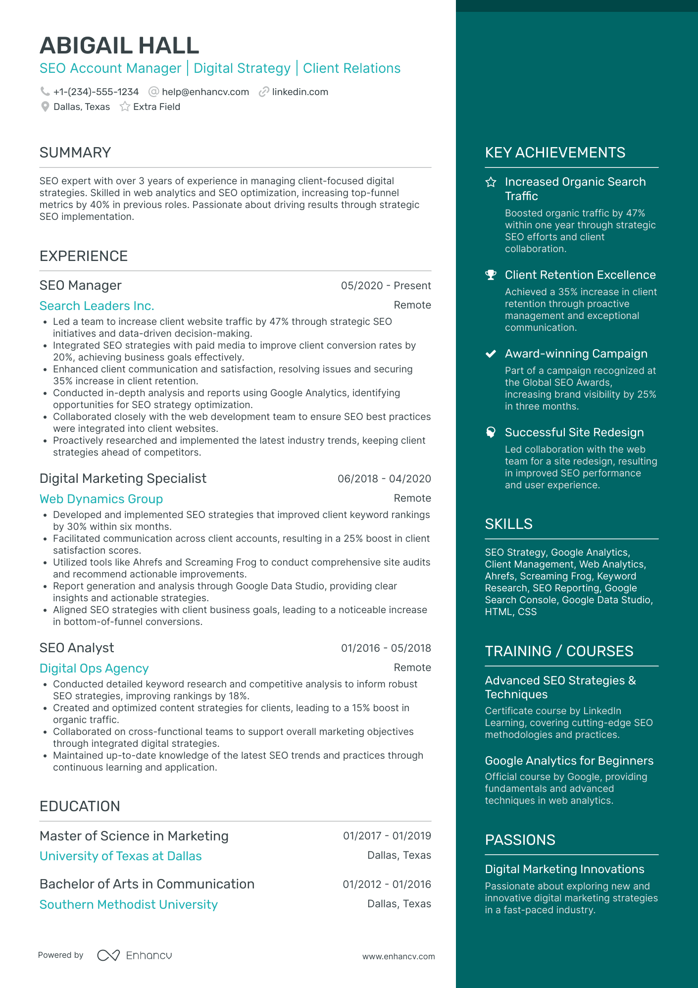 SEO Account Manager Resume Example