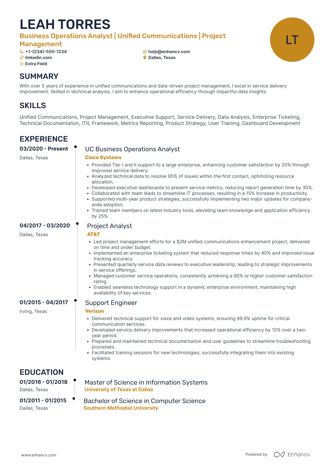 Business Performance Analyst Resume Example