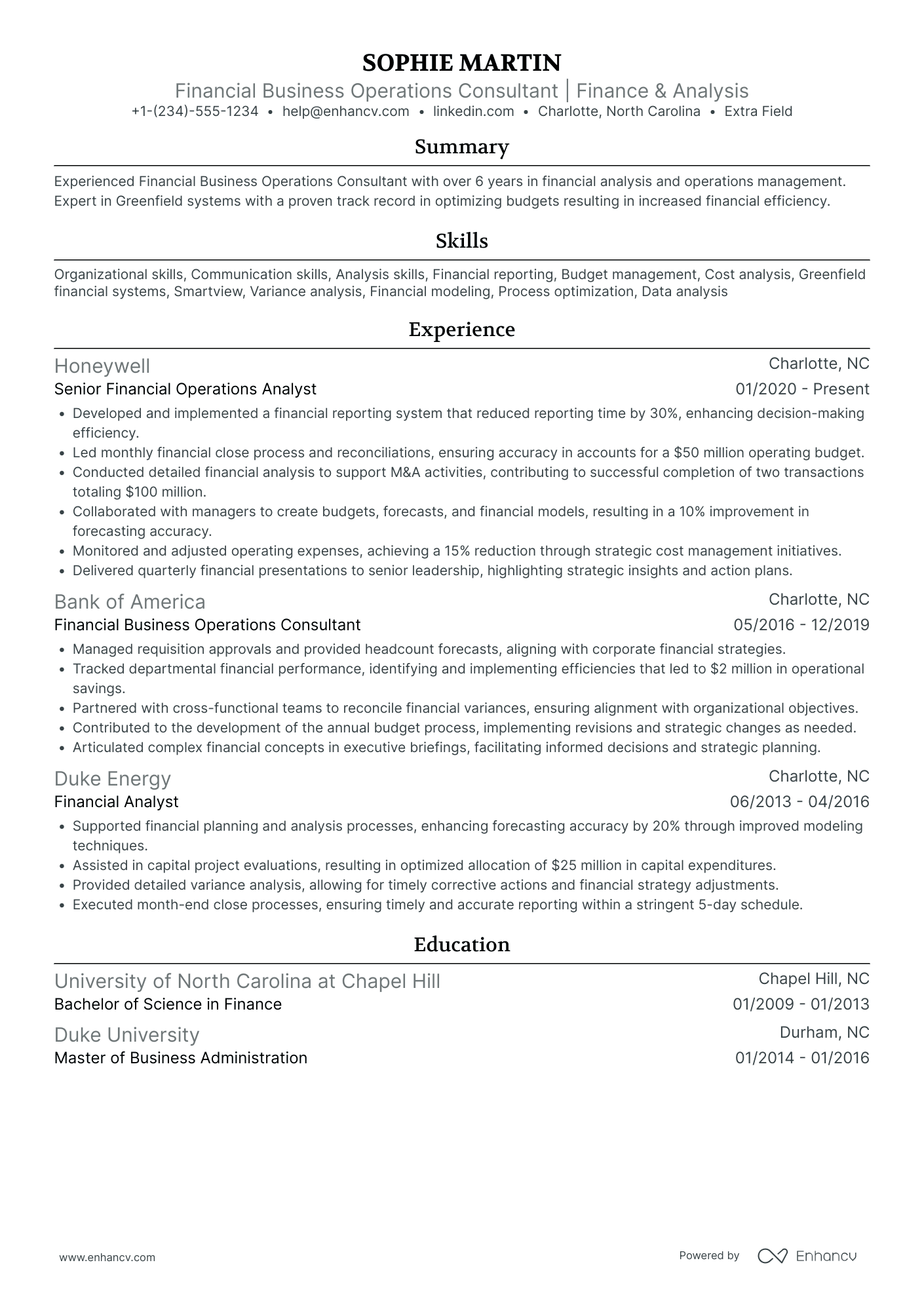 Experienced Finance Consultant Resume Example