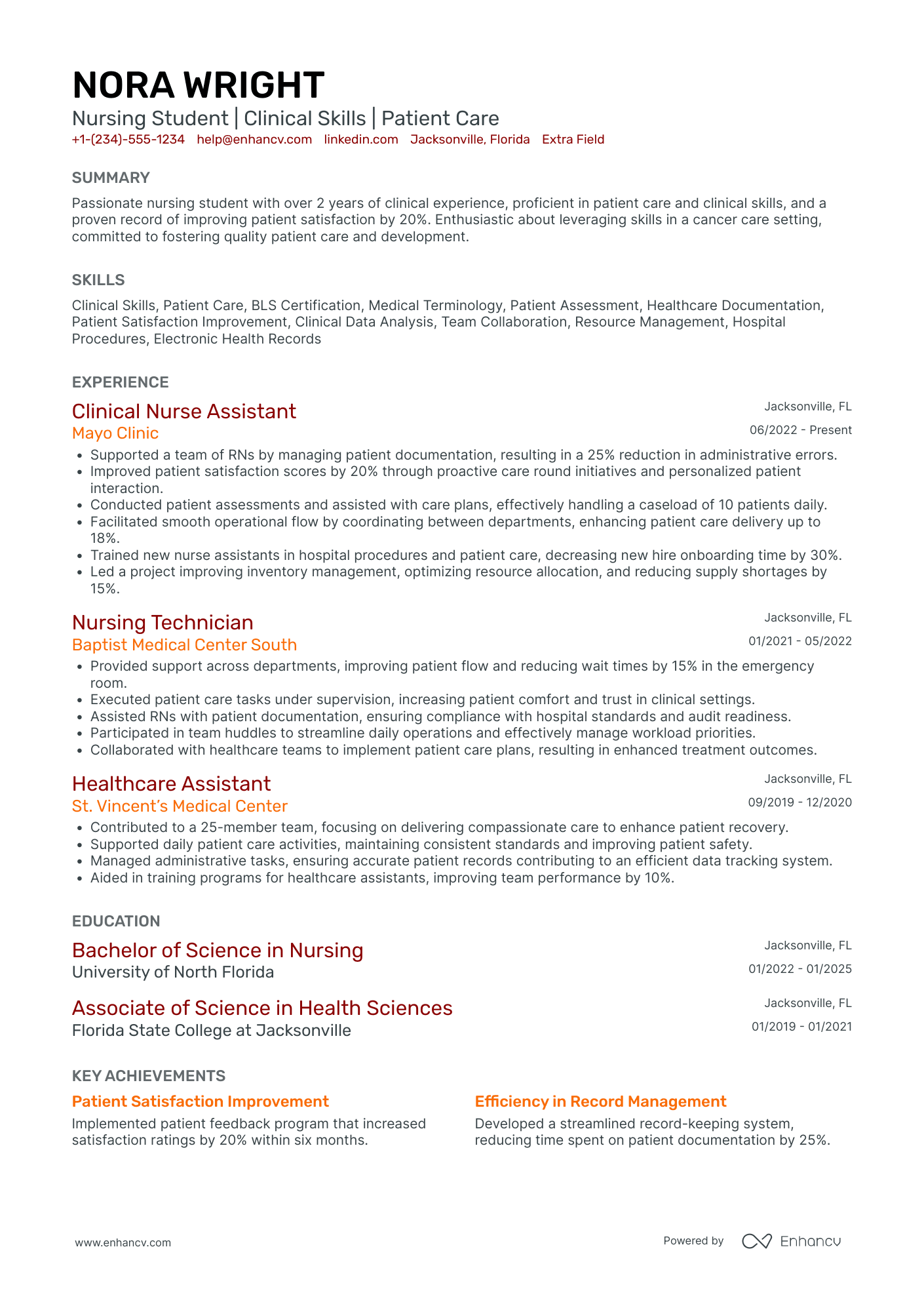 Nursing Student Intern Resume Example