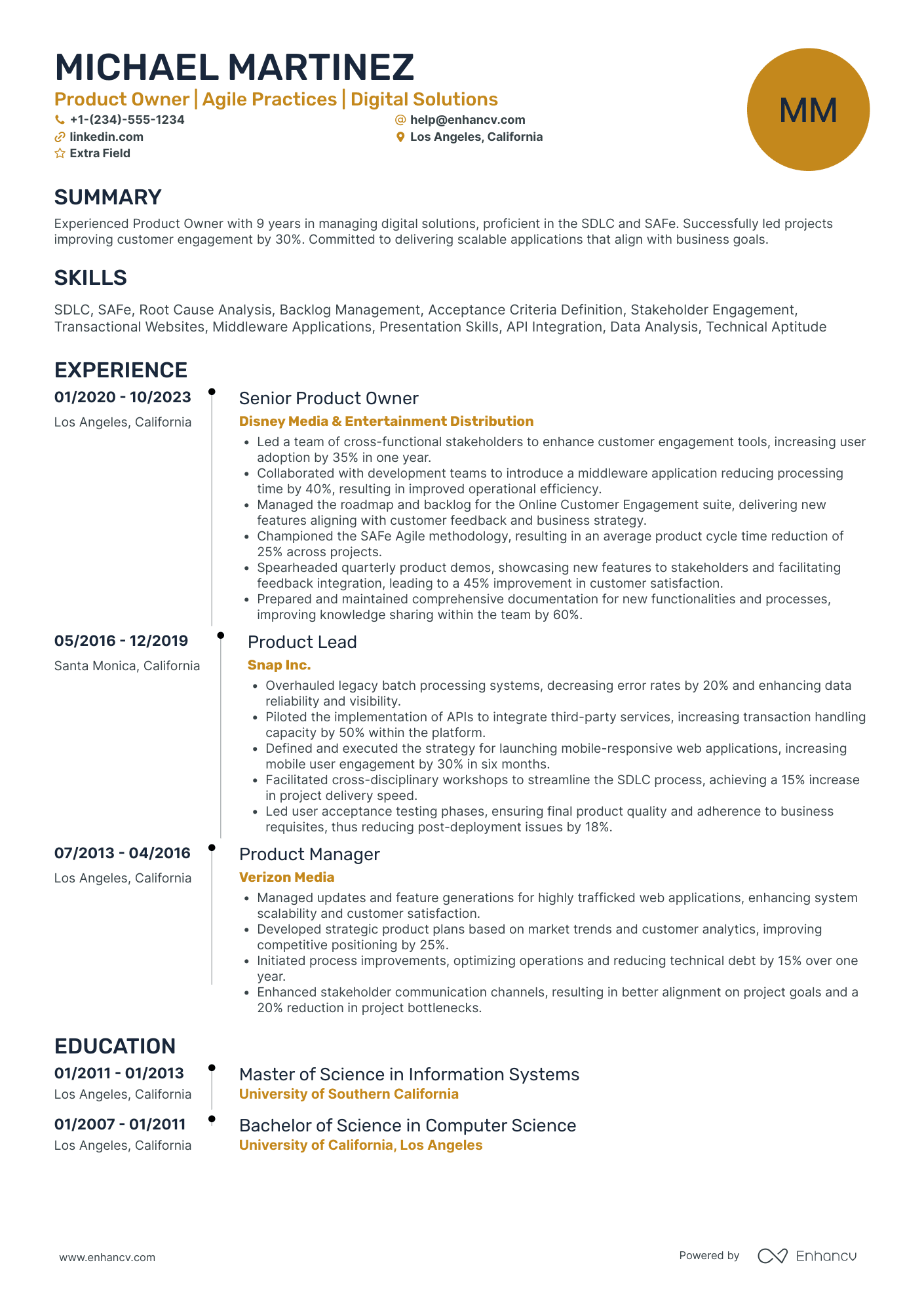 First time Business Owner Resume Example