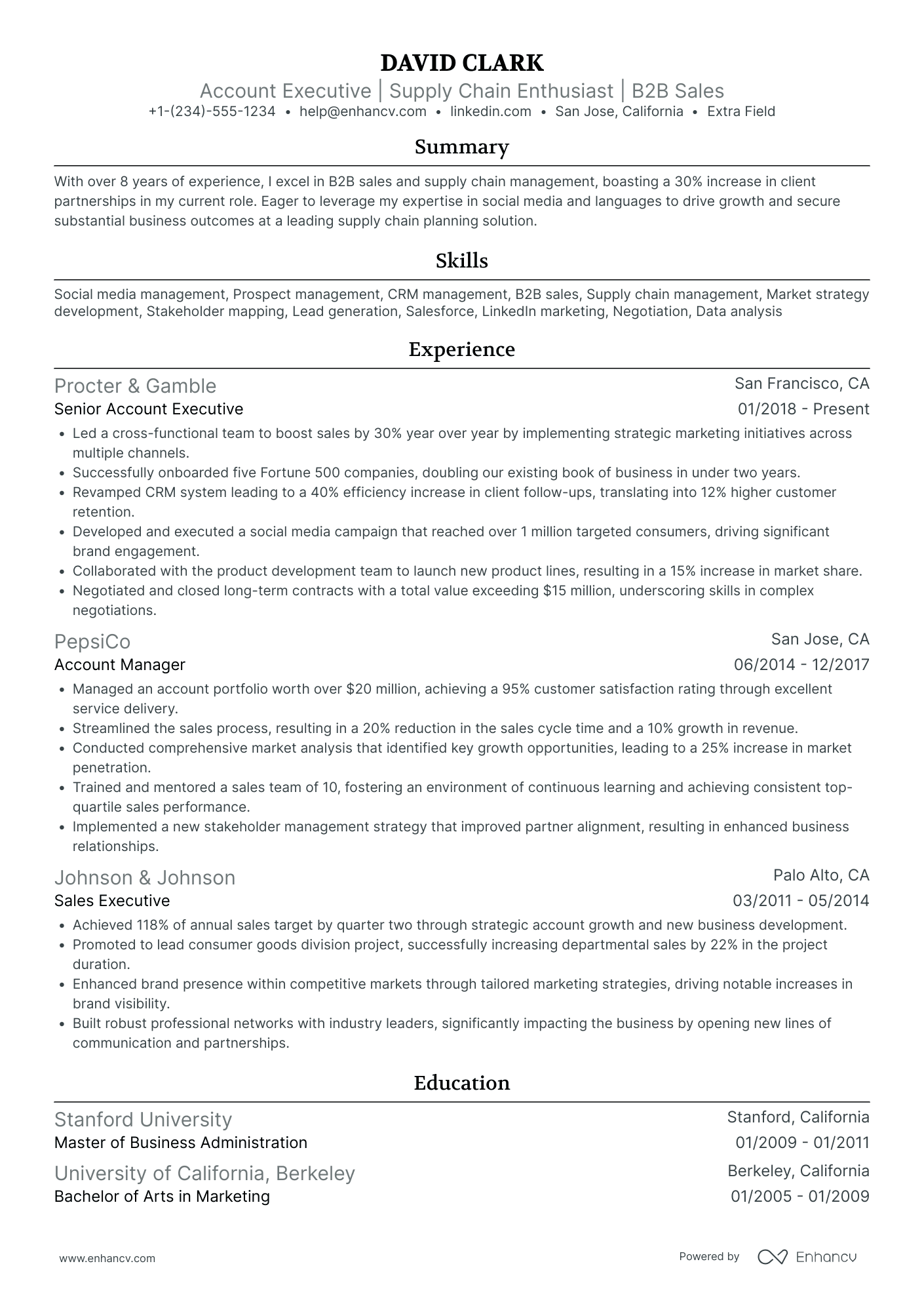 Consumer Goods Account Executive Resume Example