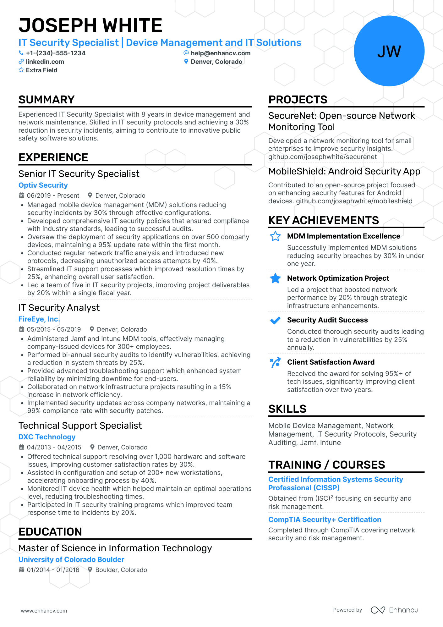 IT Security Technician Resume Example