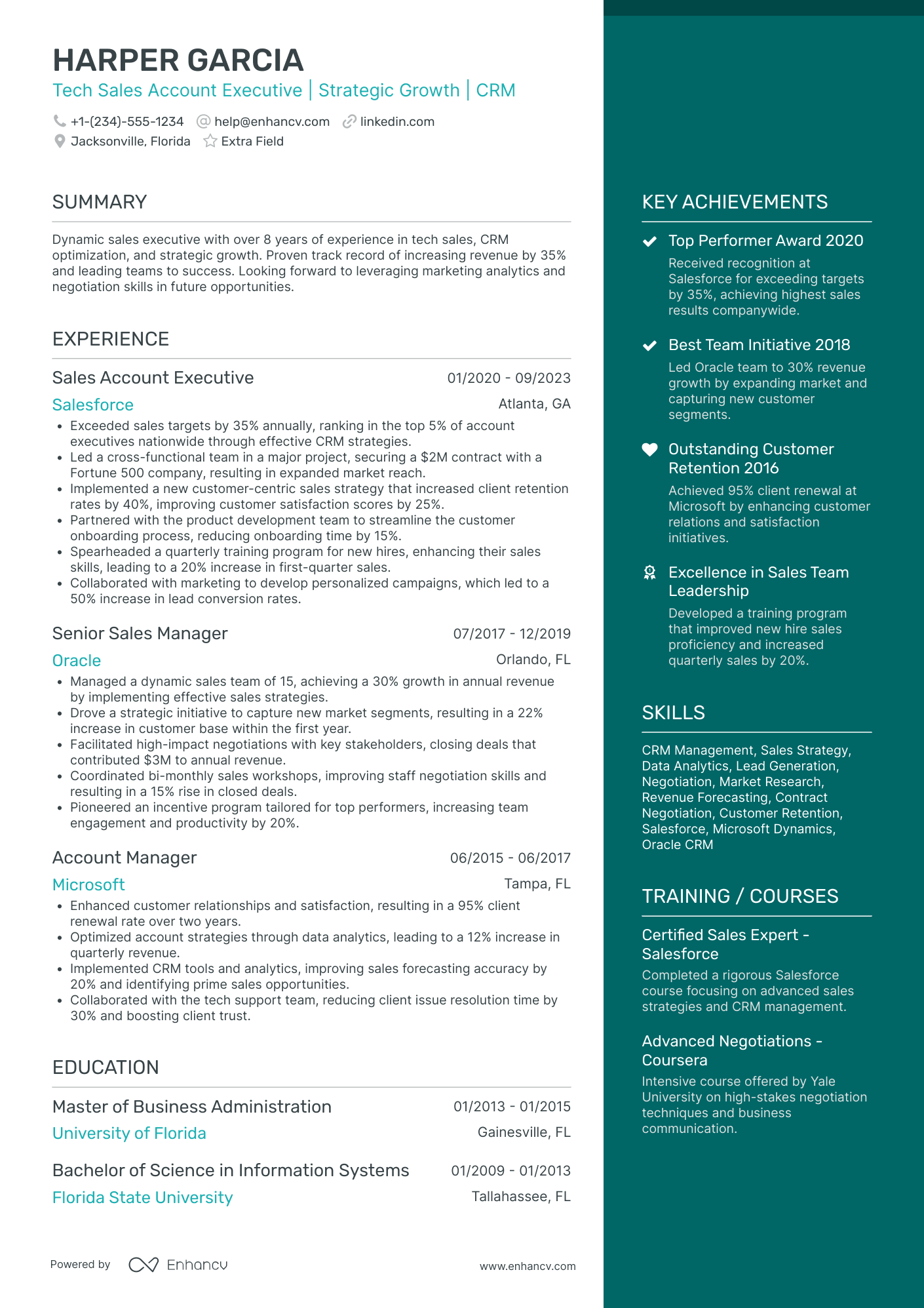 Tech Sales Account Executive Resume Example