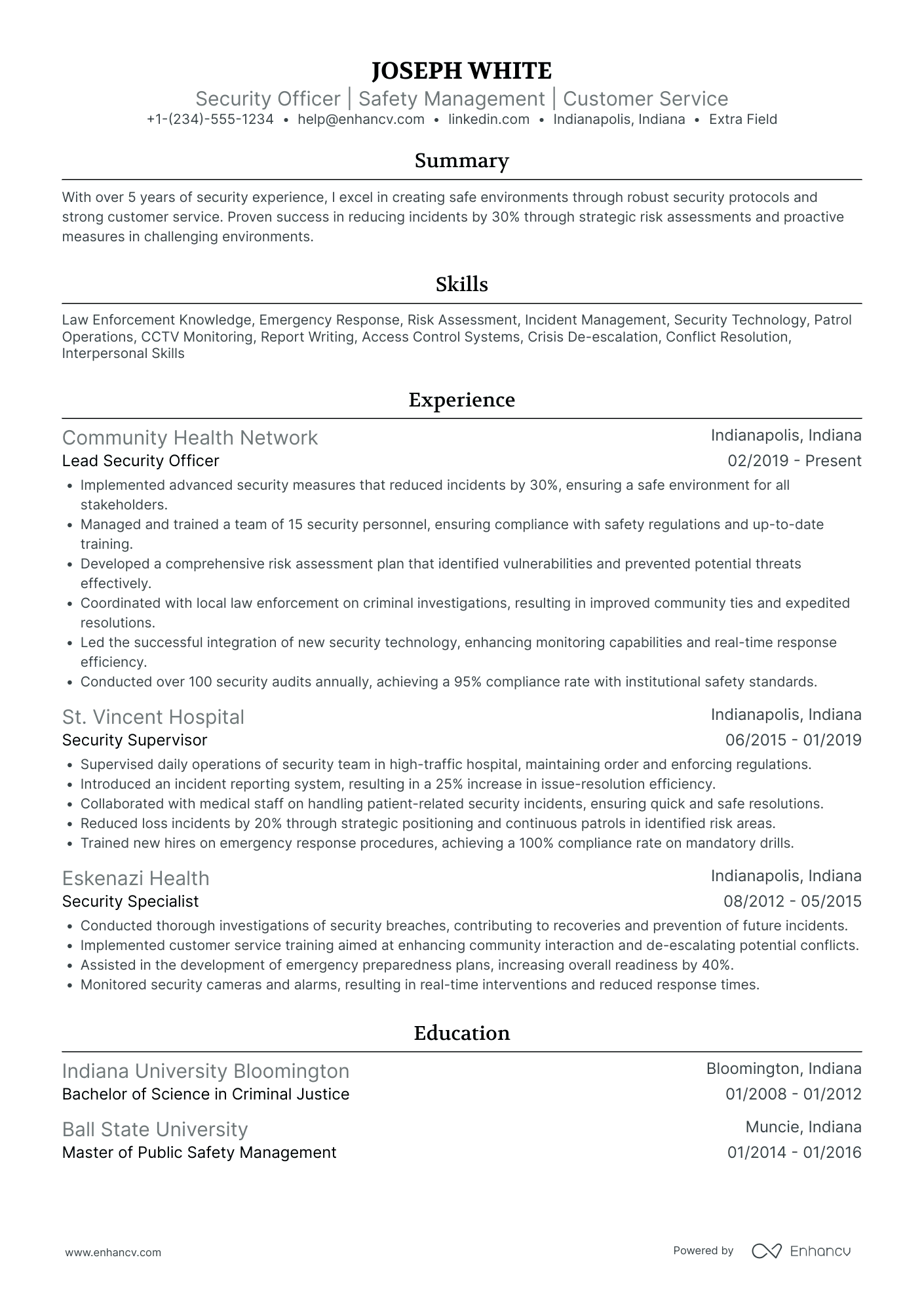 Data Security Officer Resume Example