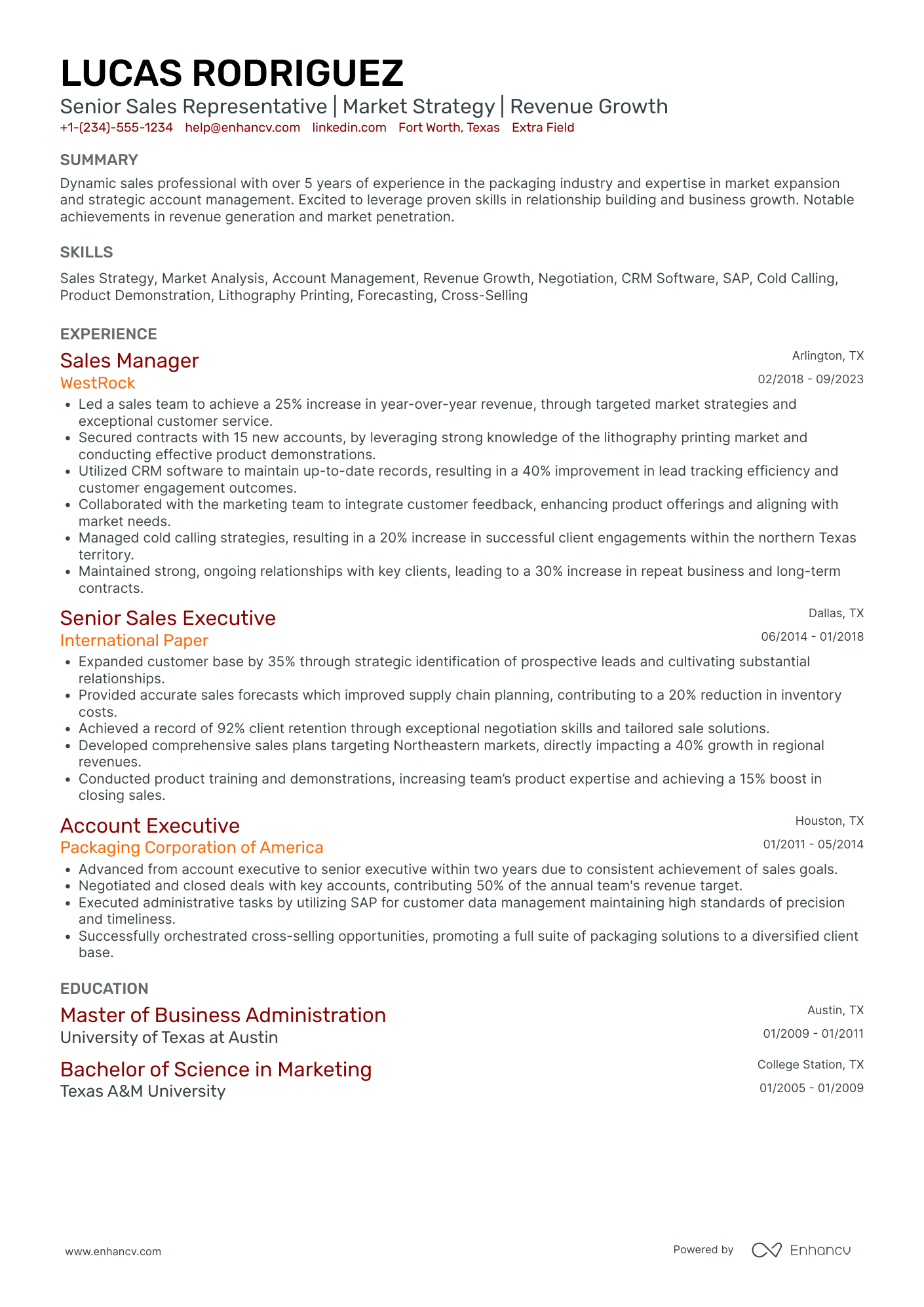 Senior Insurance Sales Representative Resume Example