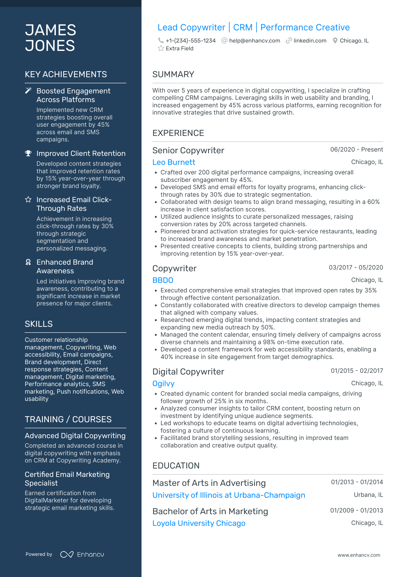 Lead Copywriter Resume Example