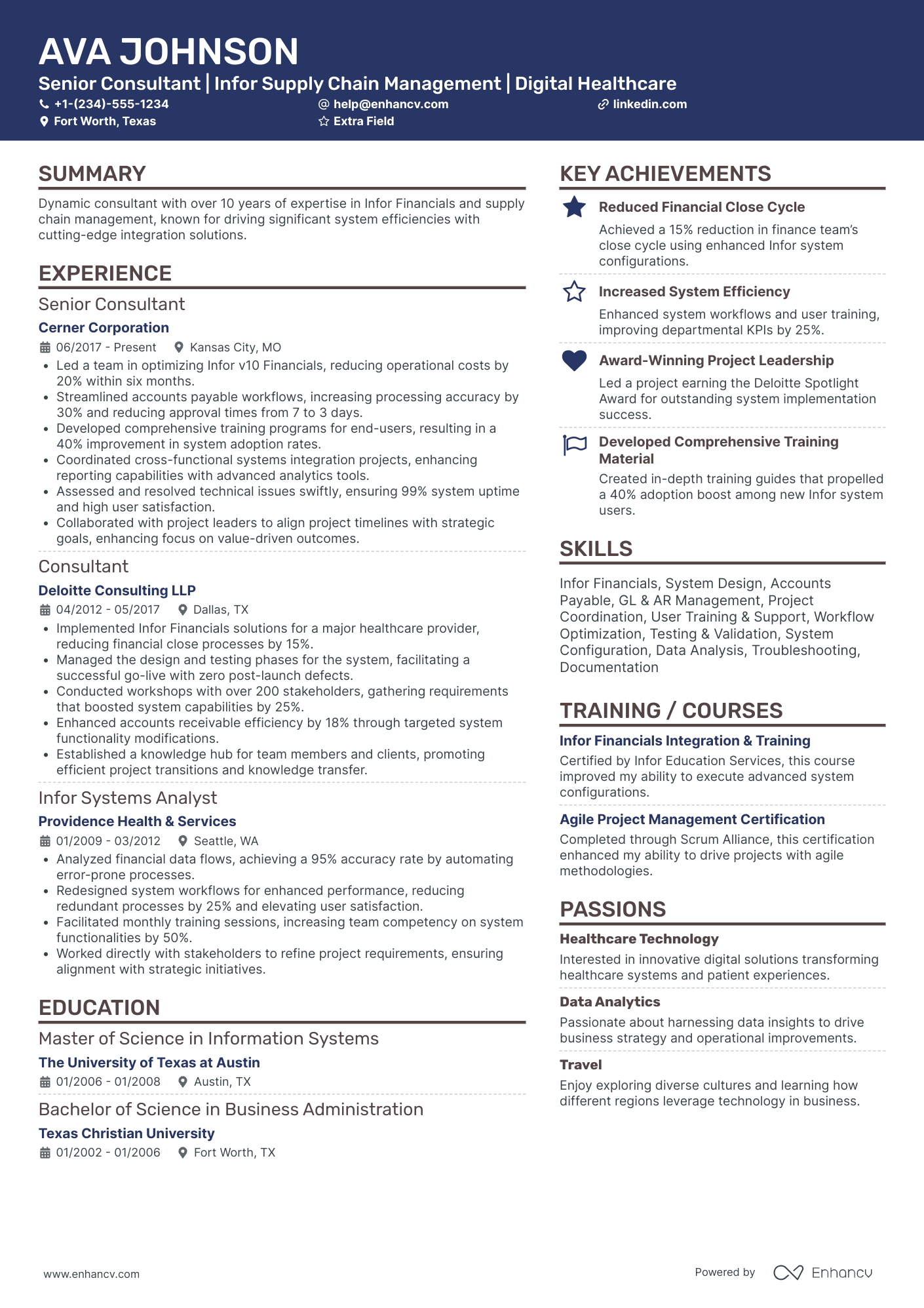 Healthcare Technology Consultant Resume Example