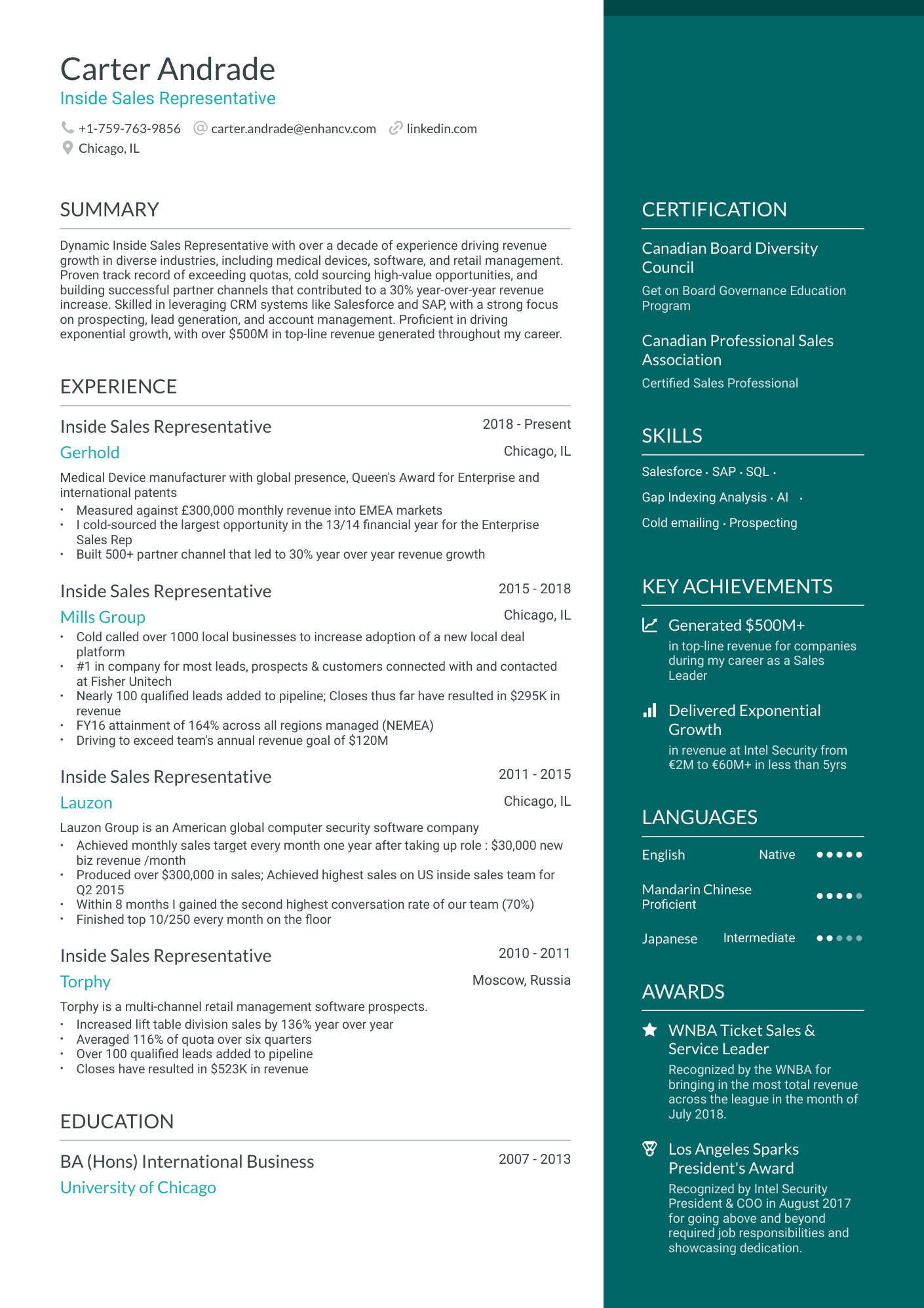 Inside Sales Resume Example