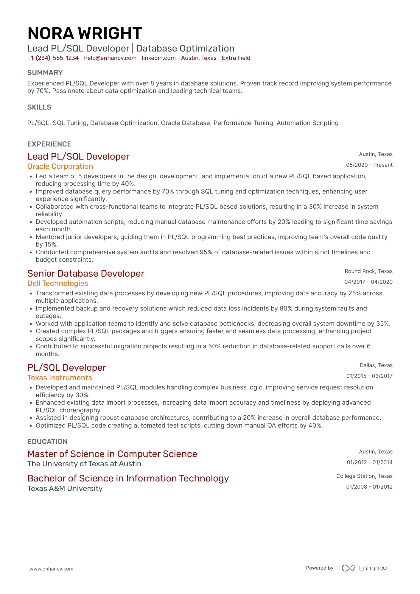 SQL Developer Team Lead Resume Example