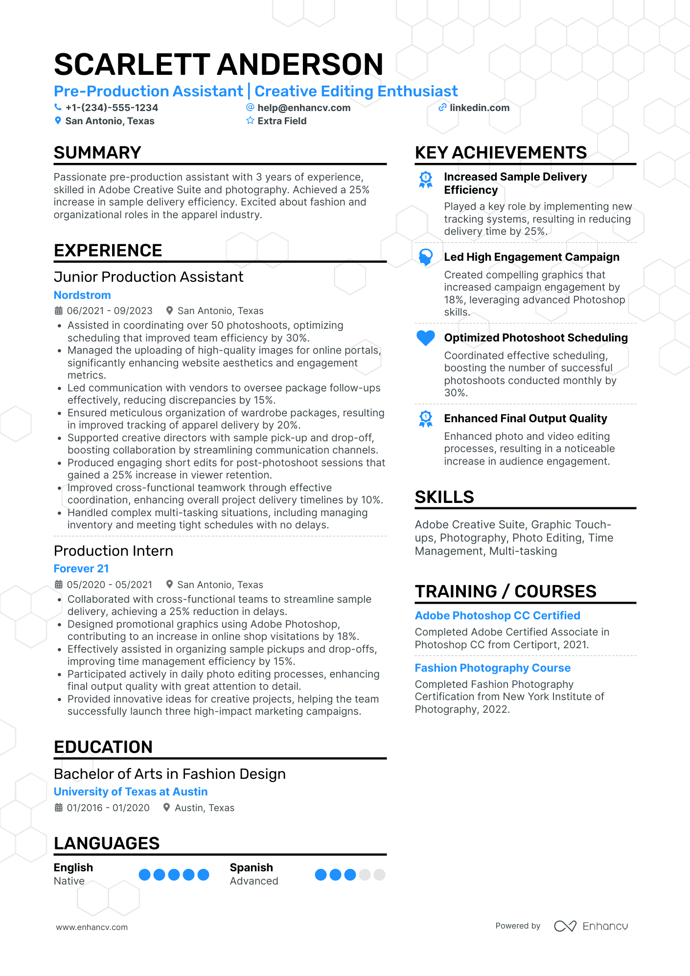 Pre Production Assistant Resume Example