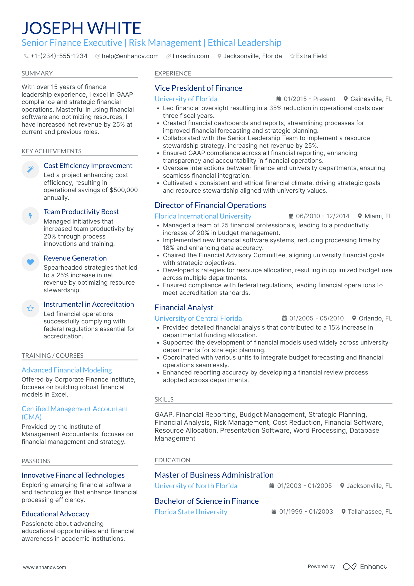 Senior VP of Finance Resume Example