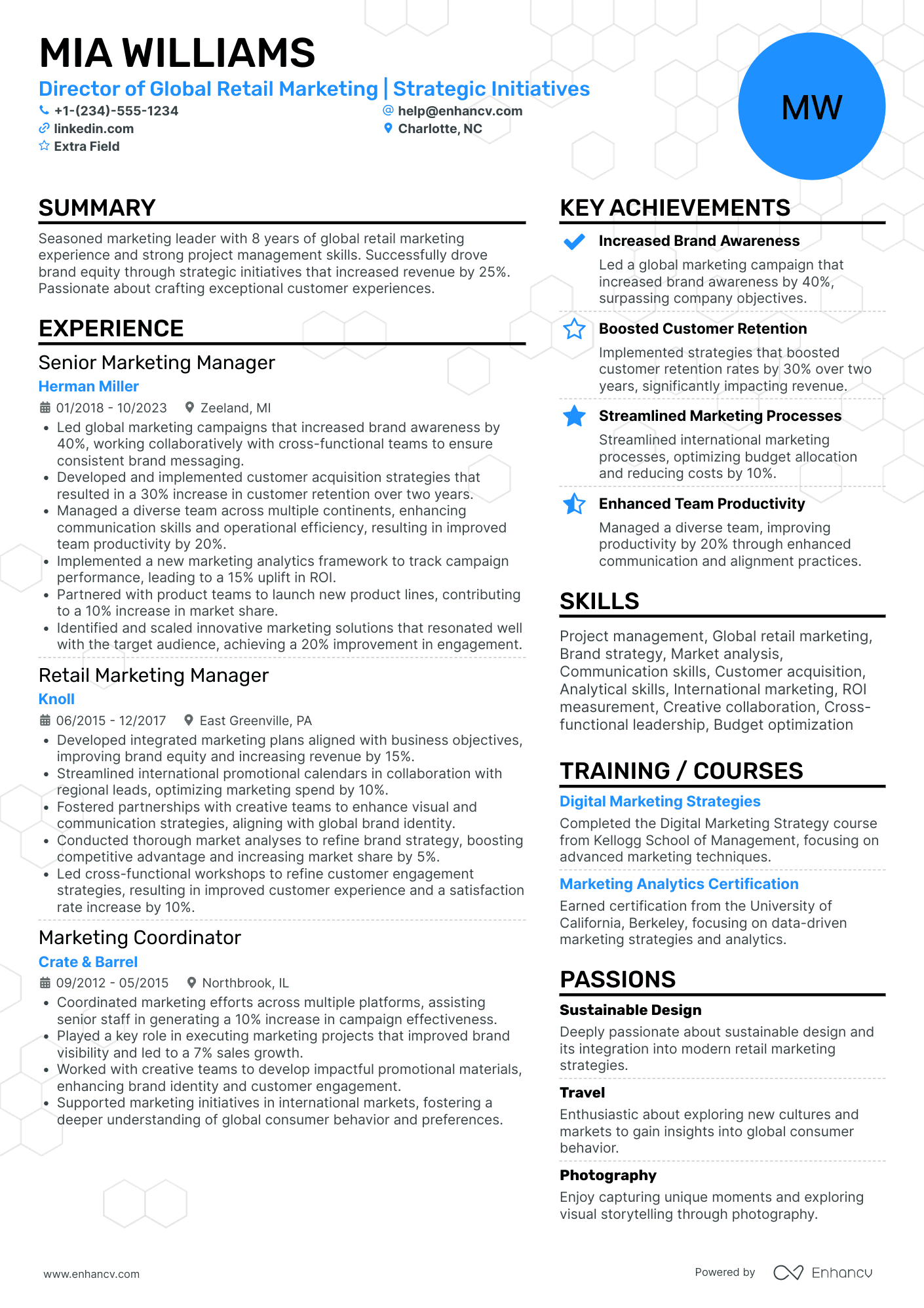 Retail Marketing Director Resume Example