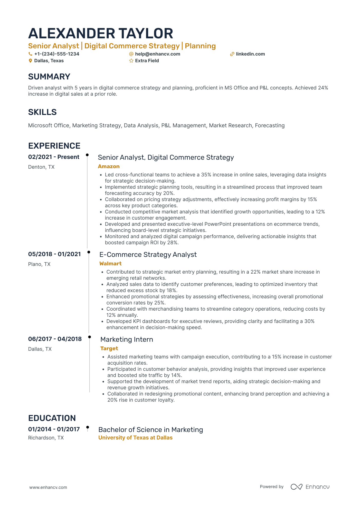 Junior Digital Marketing Analyst Resume Example