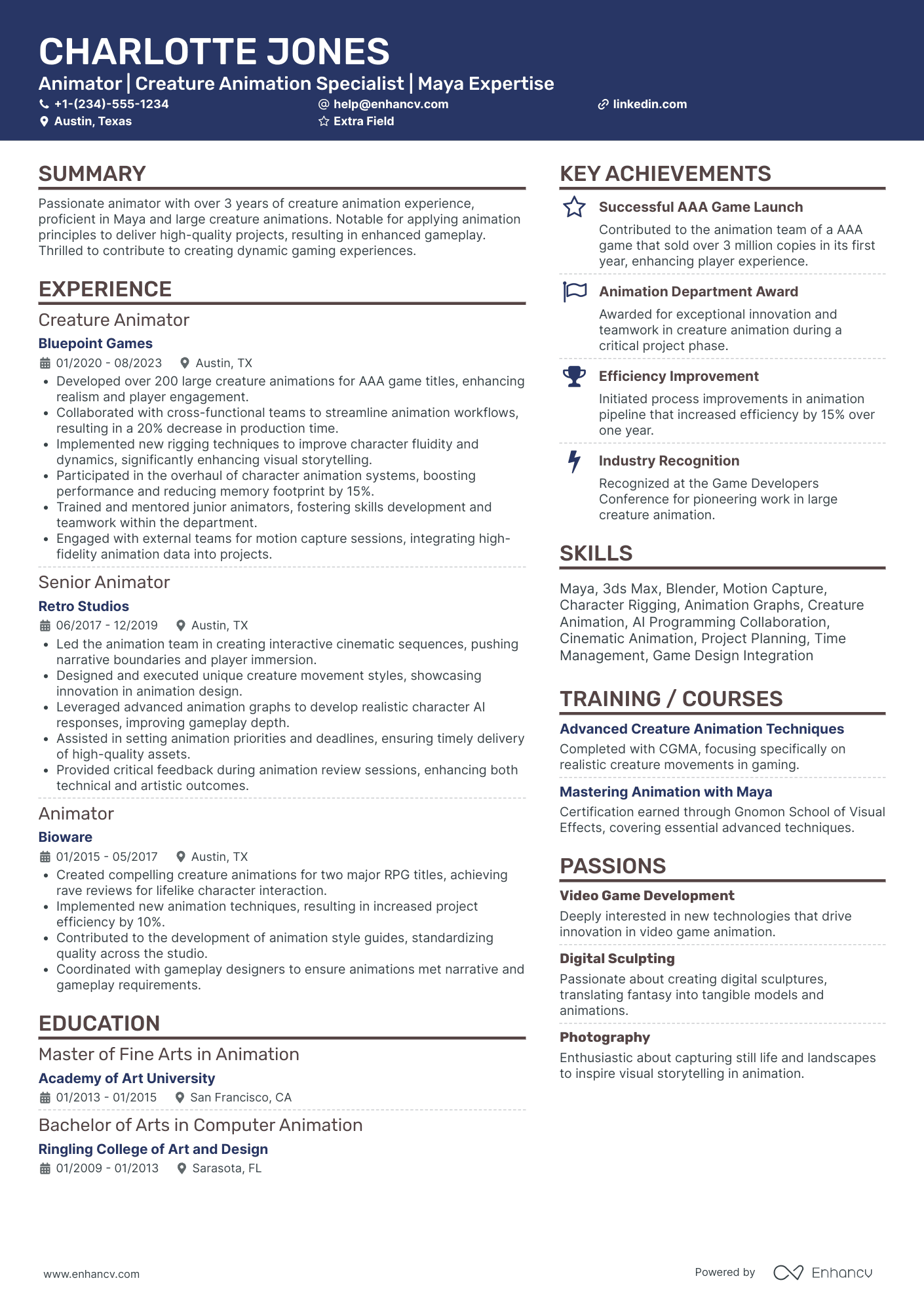 Entry Level Animator Resume Example