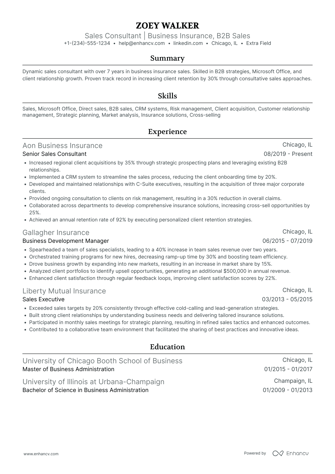 IT Sales Consultant Resume Example