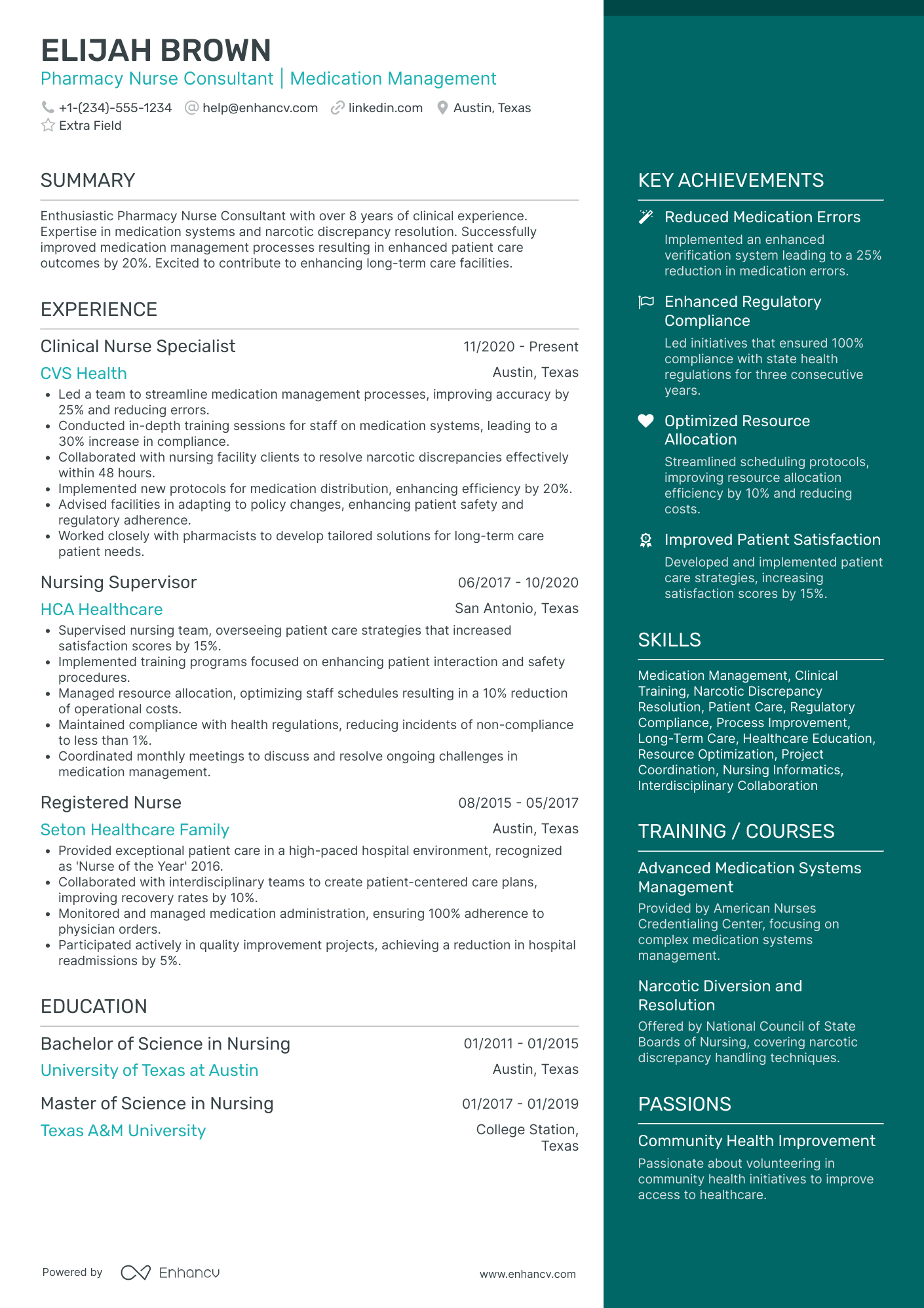 Travel Nurse Consultant Resume Example