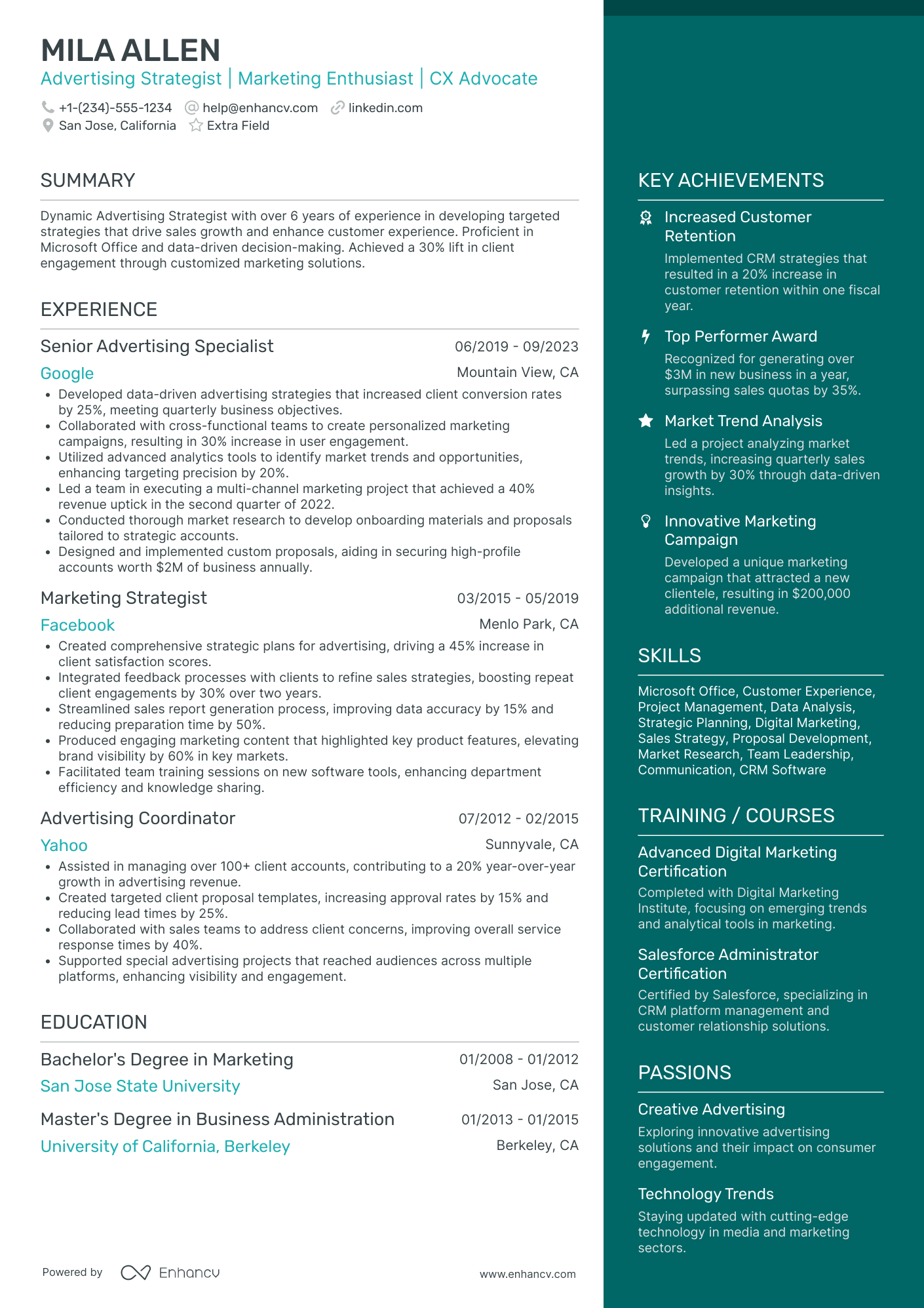 Senior Advertising Strategist Resume Example