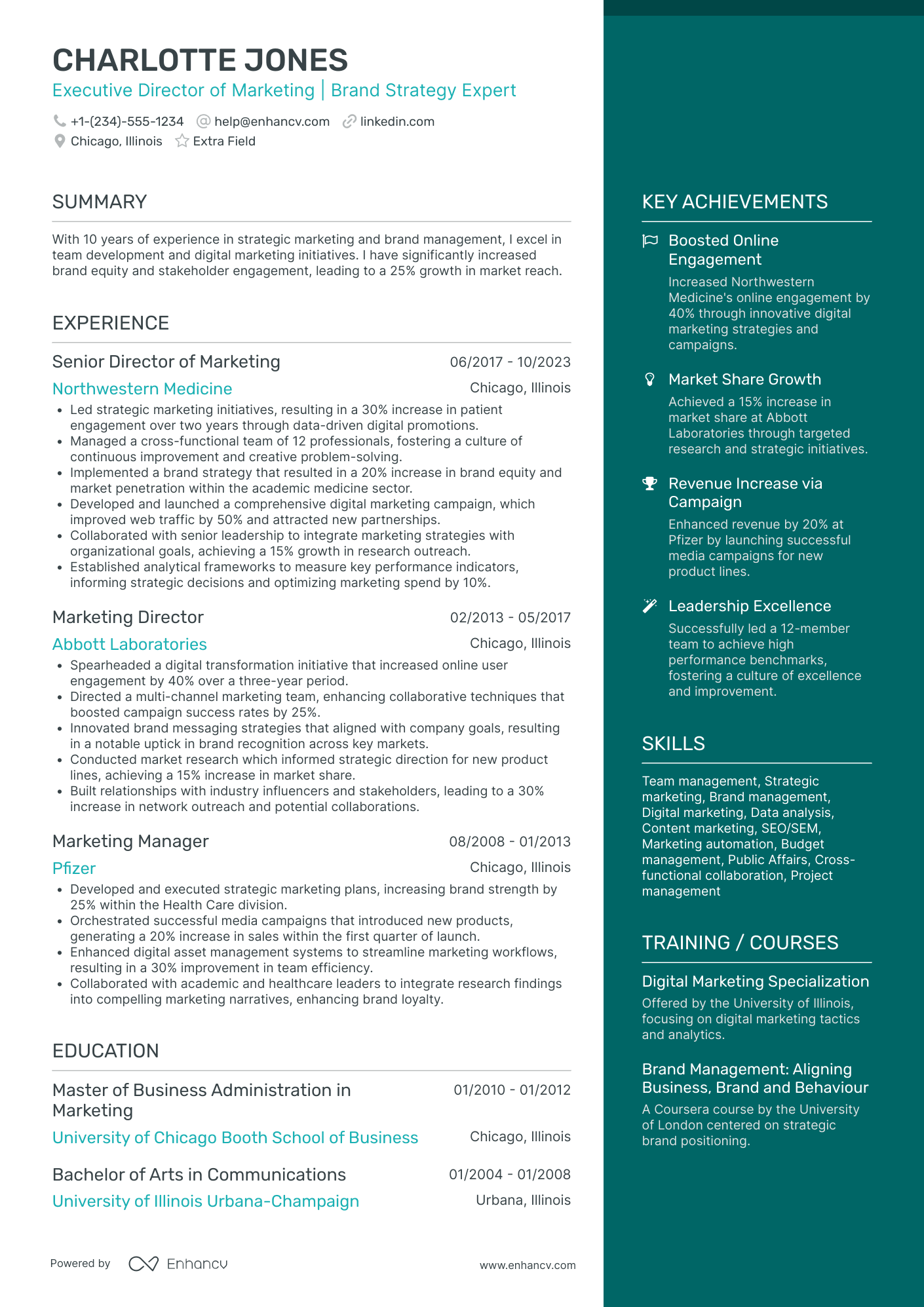 Marketing Director, Channel Strategy Resume Example