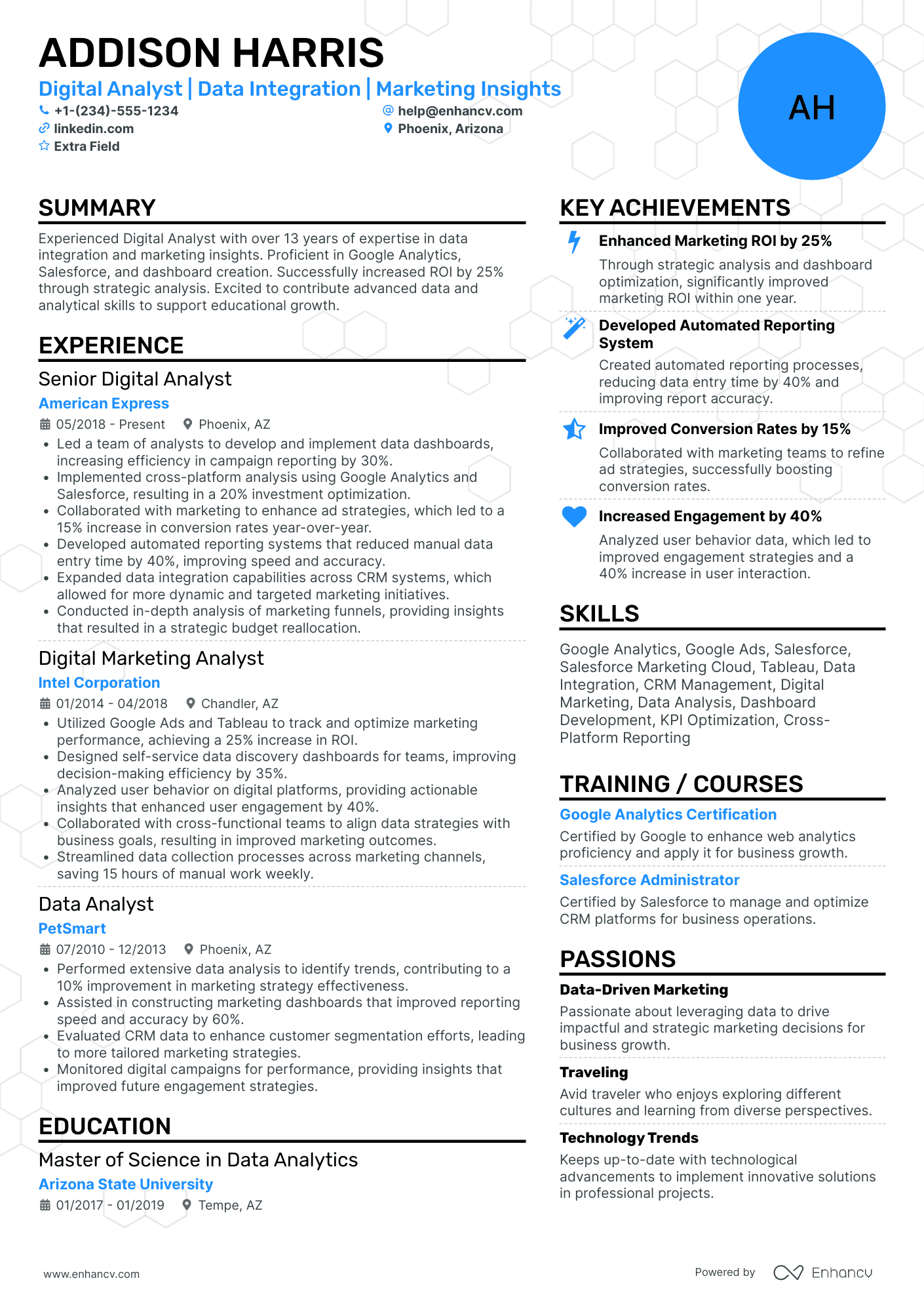 Digital Marketing Data Analyst Resume Example