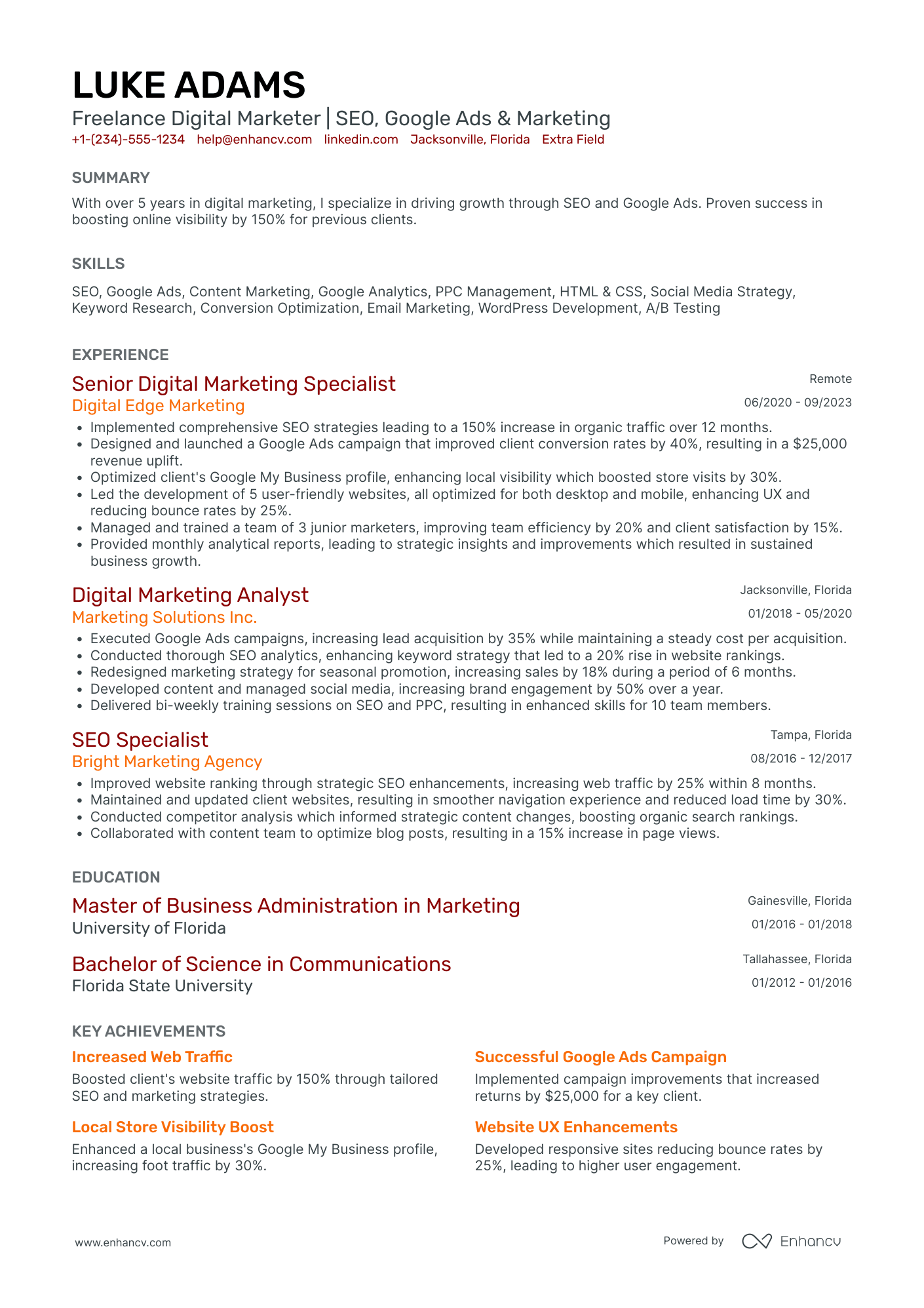 Freelance Digital Marketing Consultant Resume Example