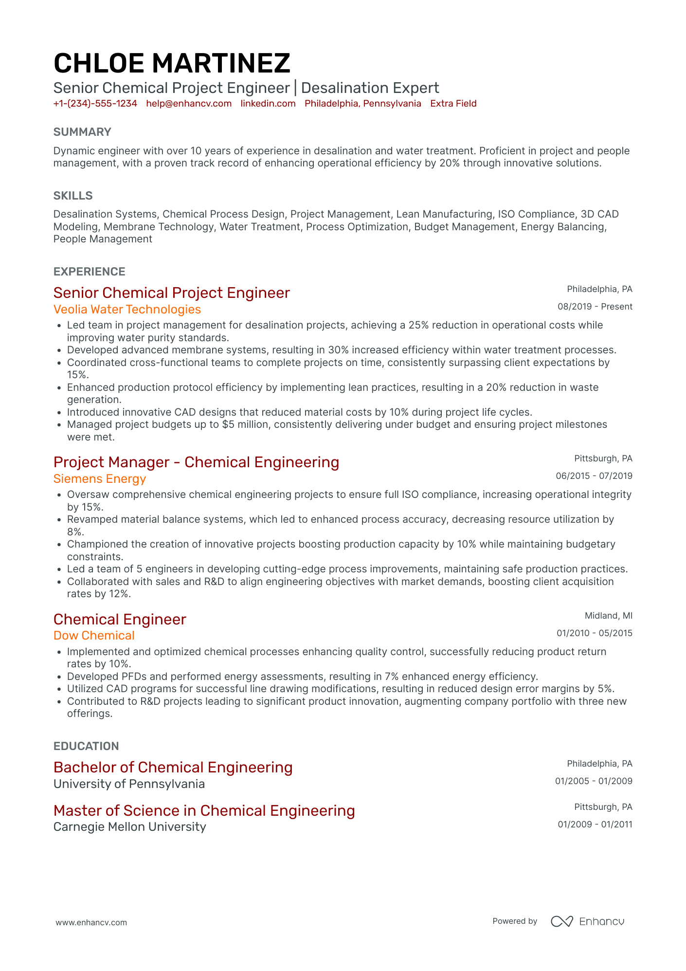 Chemical Project Engineer Resume Example