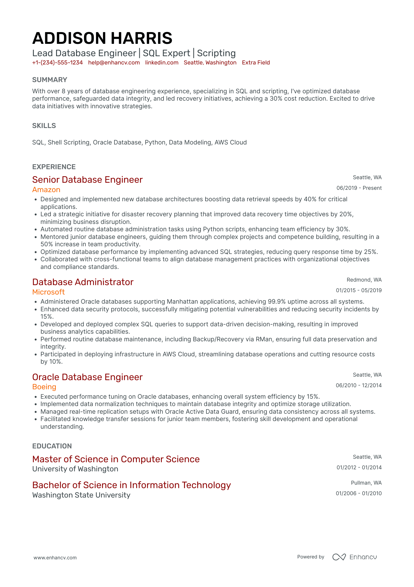 Lead Database Engineer Resume Example