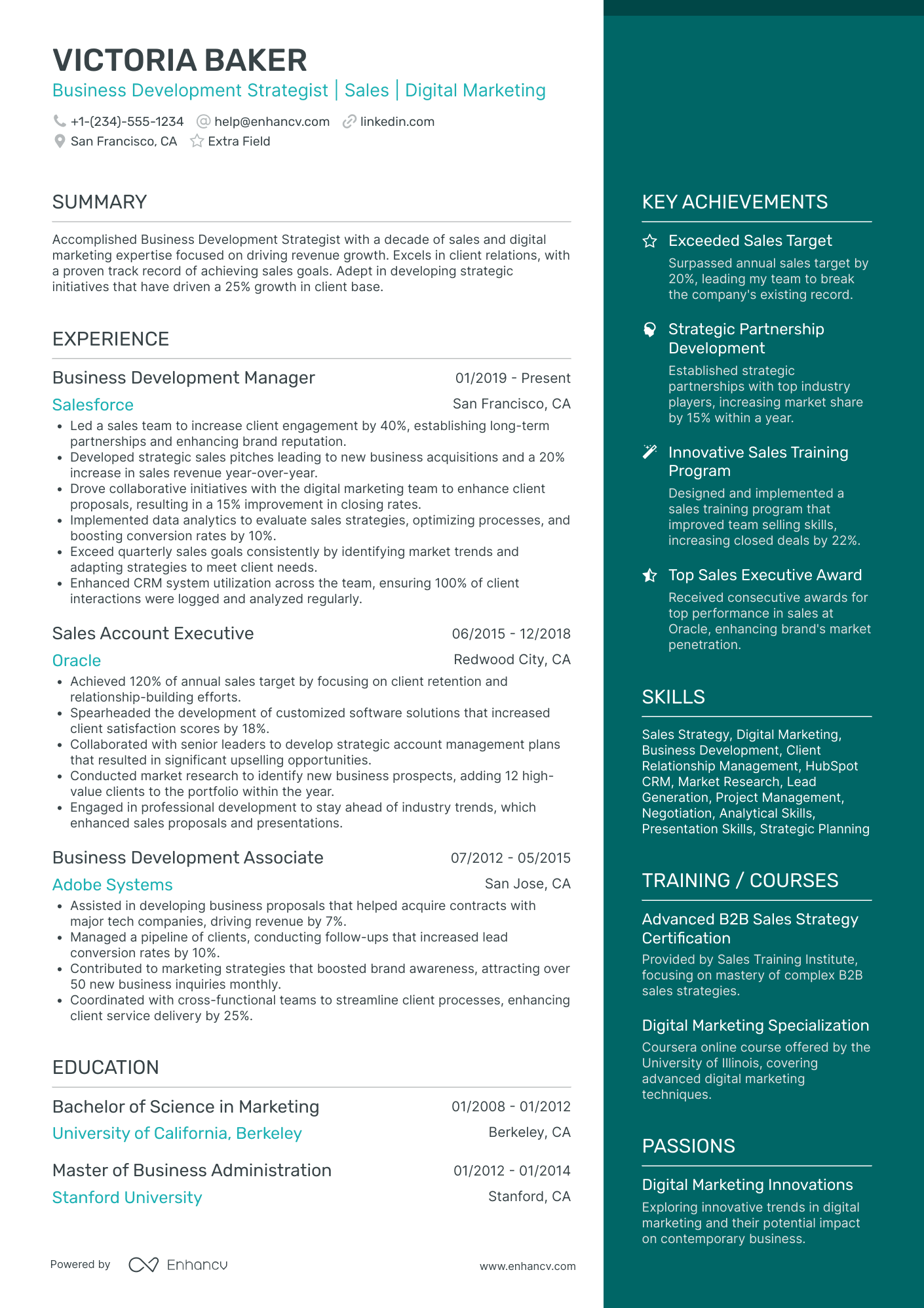 Business Development Strategist Resume Example