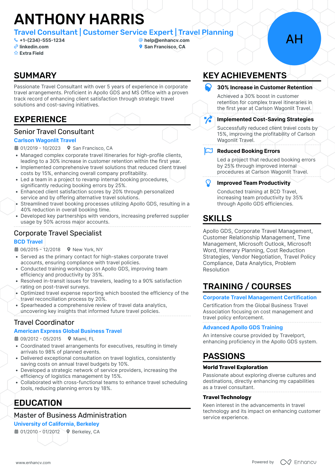 Travel Consultant Team Leader Resume Example