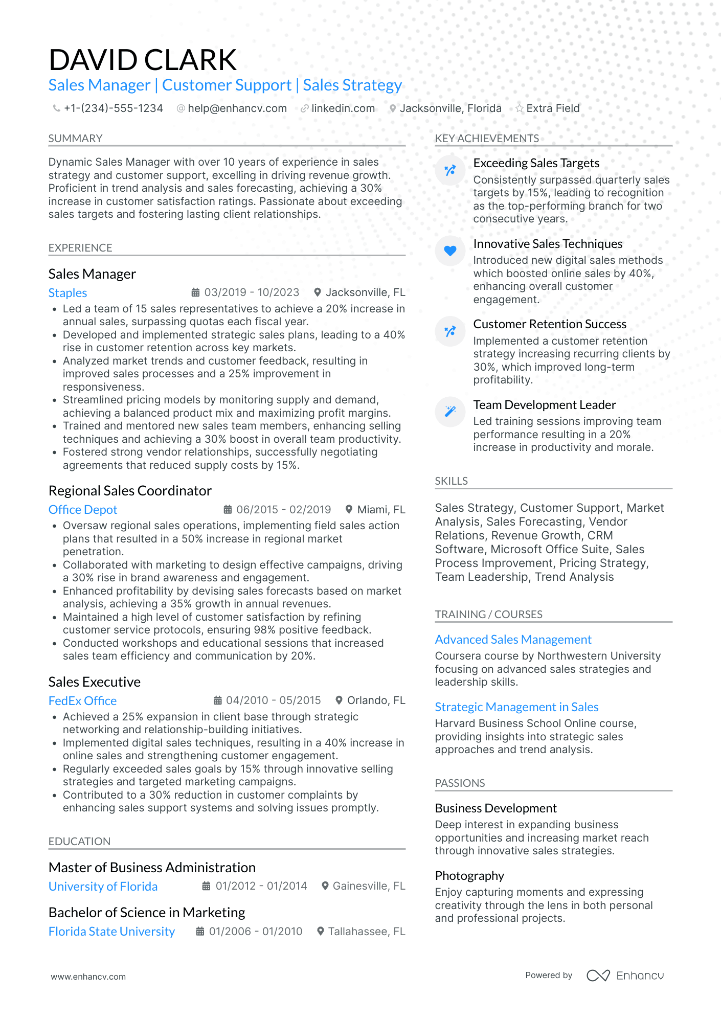 Direct Sales Manager Resume Example