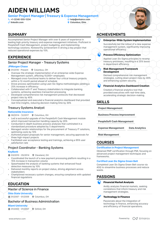 Business Project Manager Resume Example