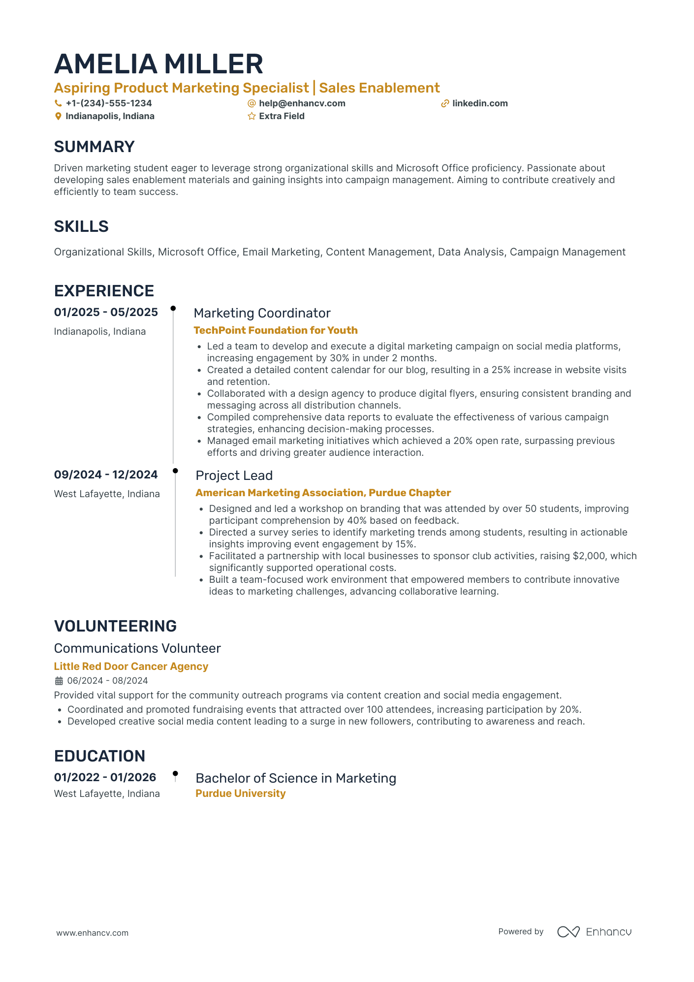 Product Marketing Intern Resume Example