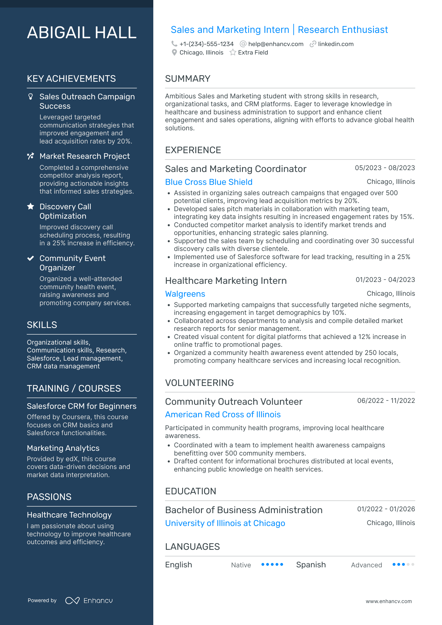 Marketing and Sales Intern Resume Example