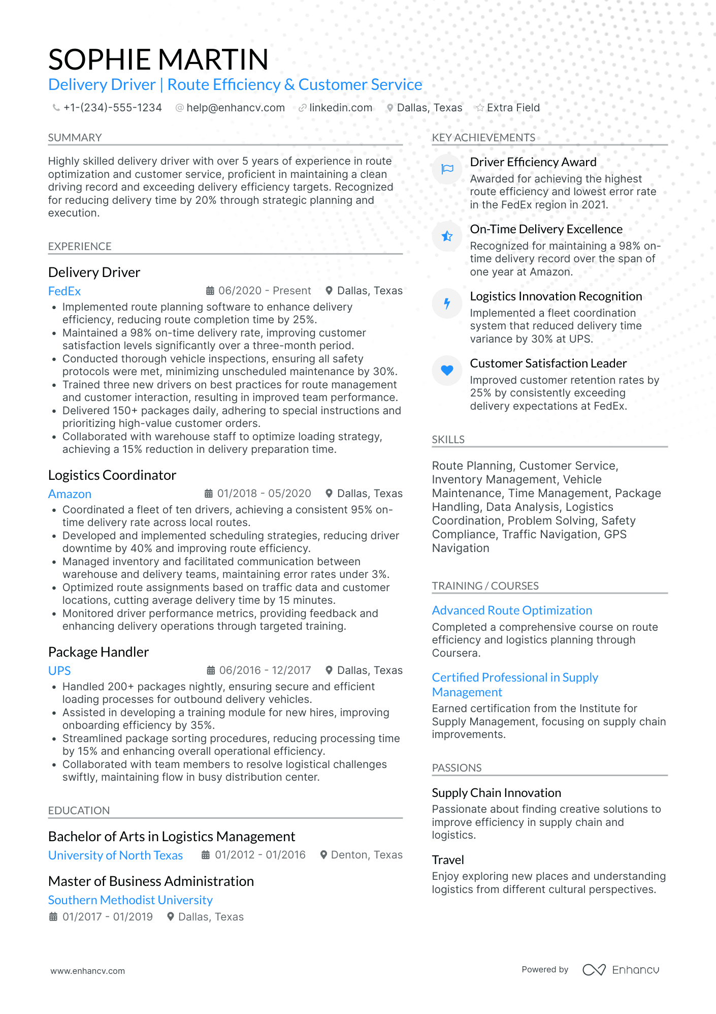 Experienced Delivery Driver Resume Example