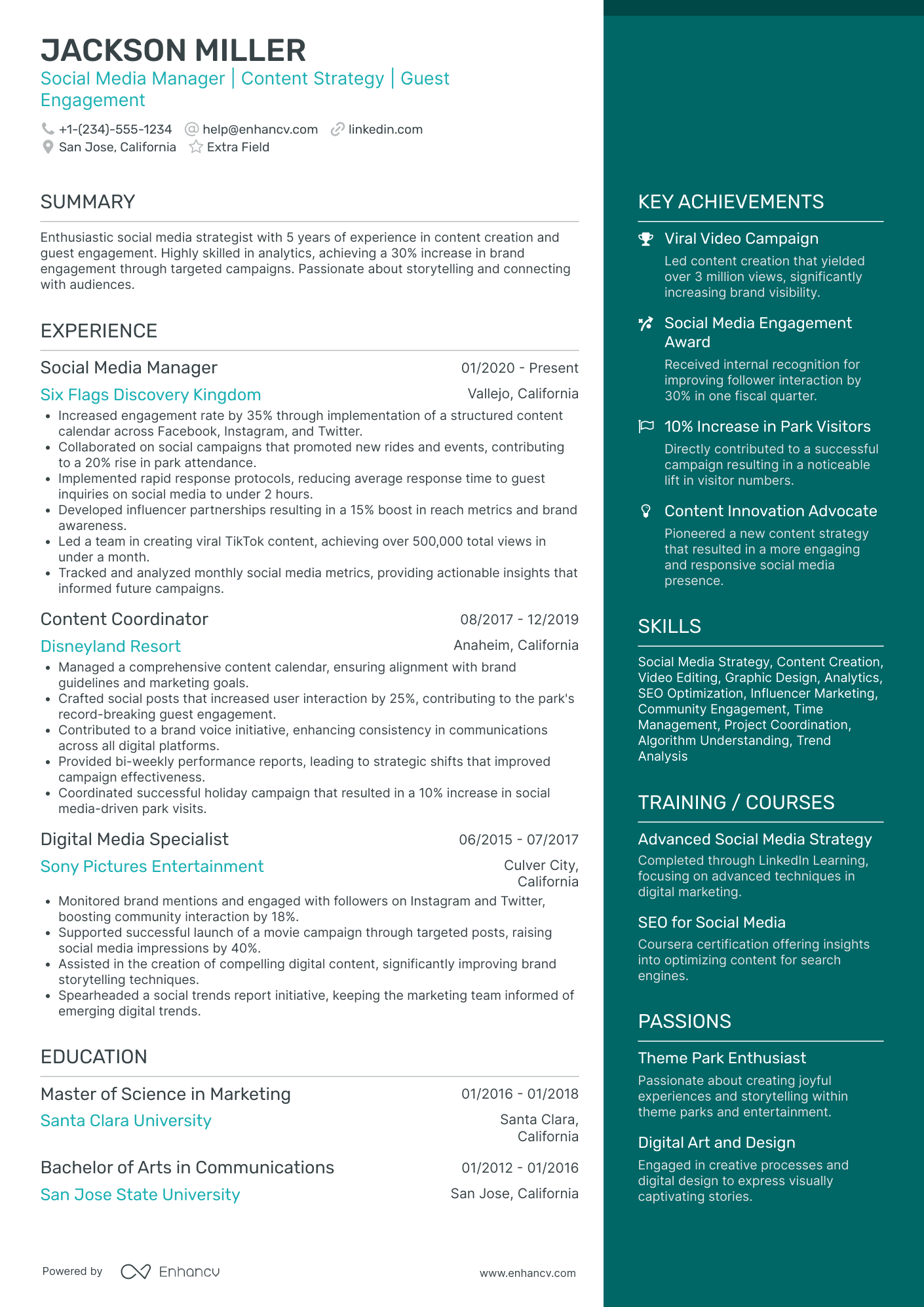 Social Media Marketing Coordinator Resume Example