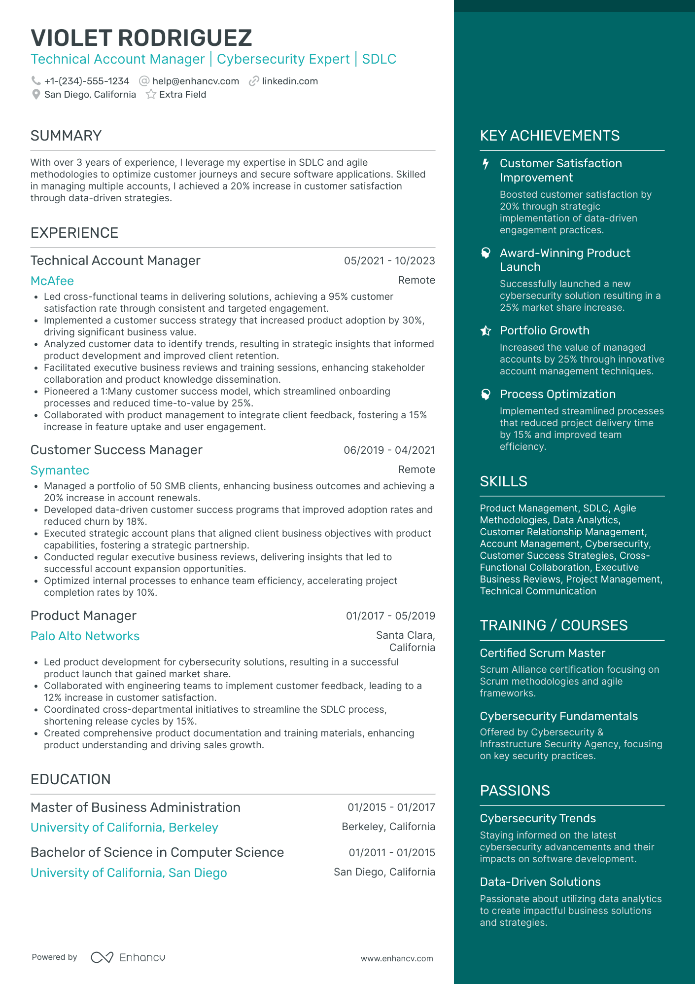 Technical Sales Executive Resume Example