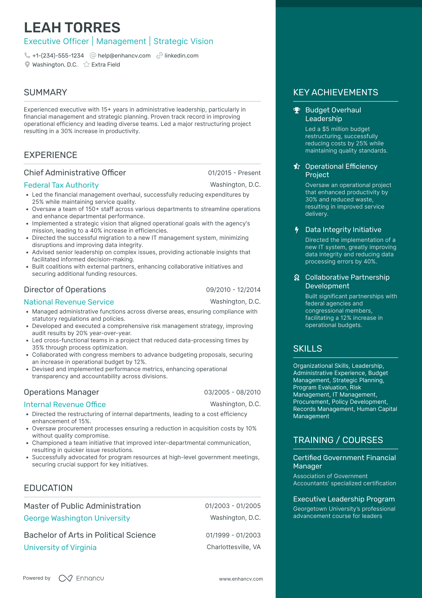 Executive Security Officer Resume Example