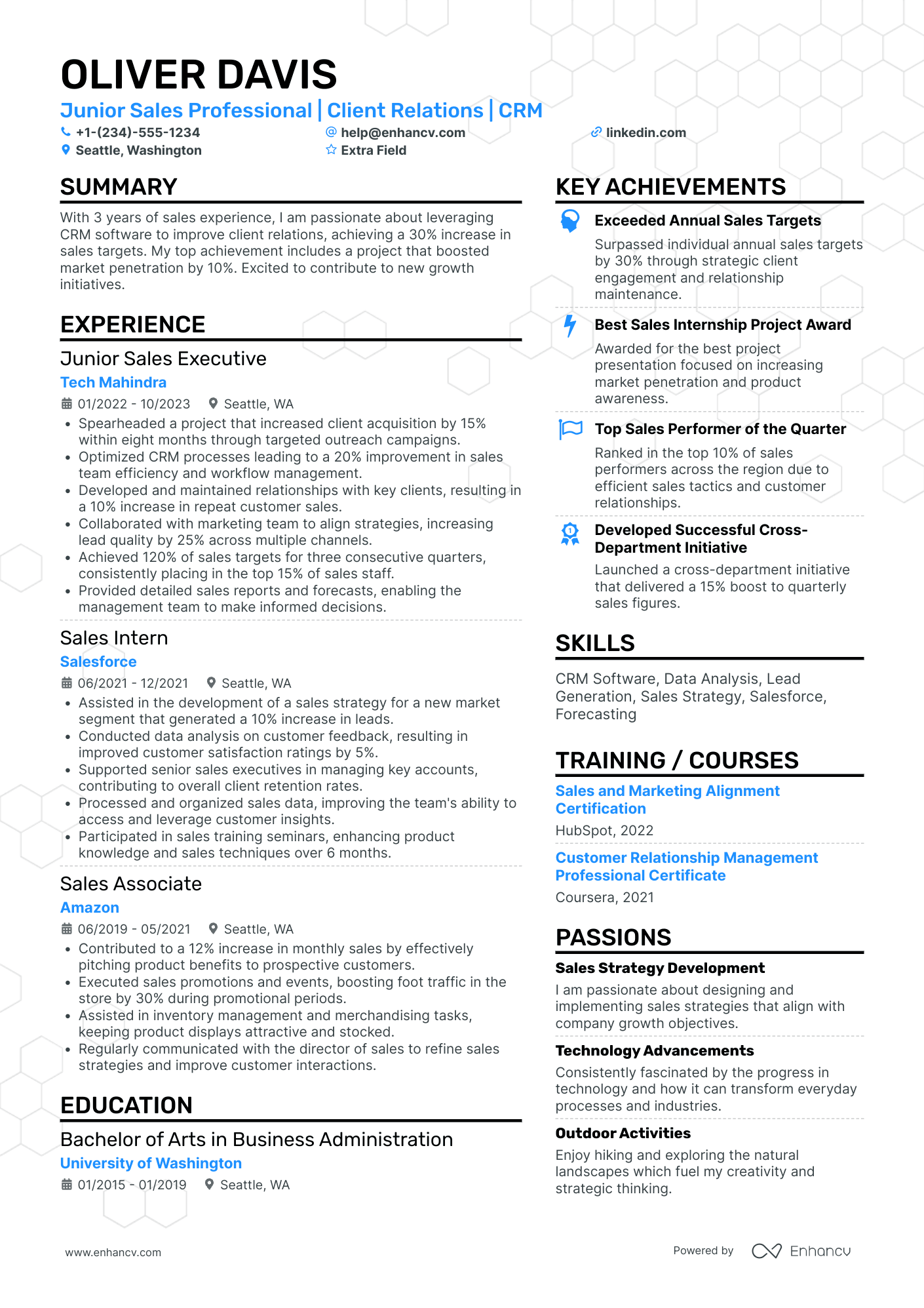 Junior Sales Professional Resume Example