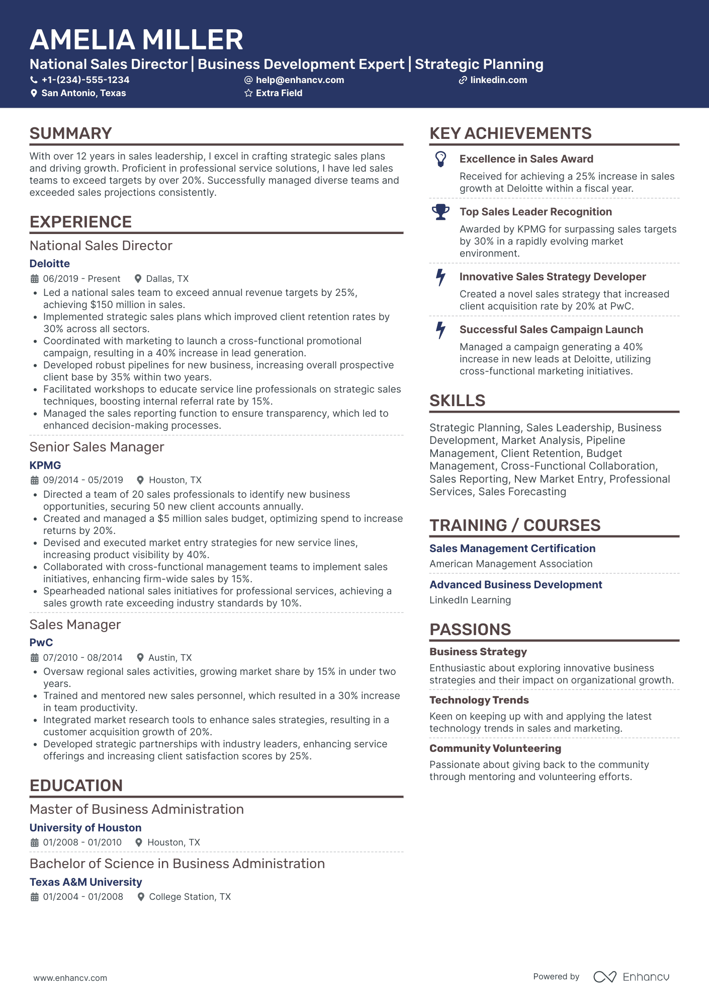 National Sales Director Resume Example