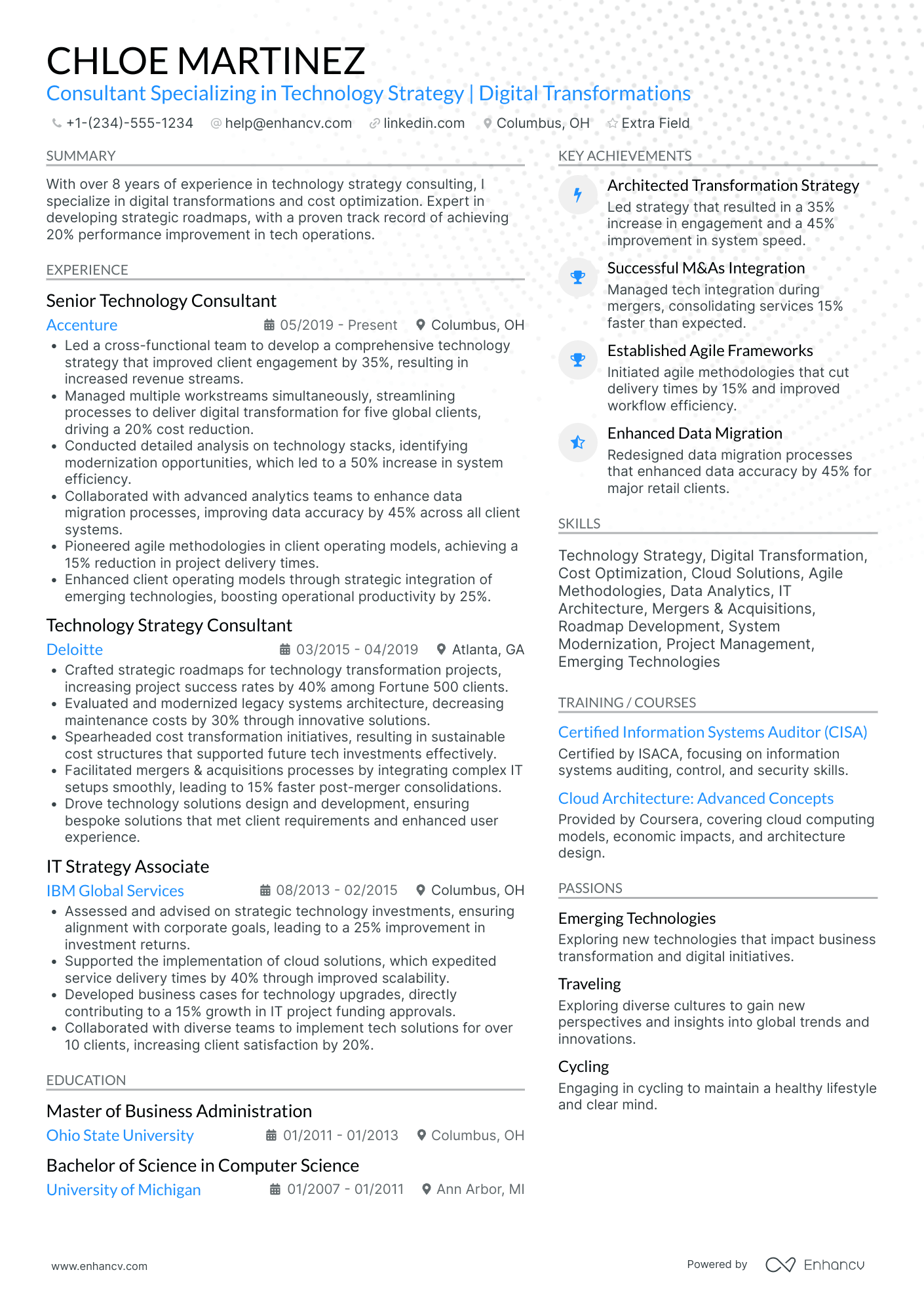 Financial Technology Consultant Resume Example