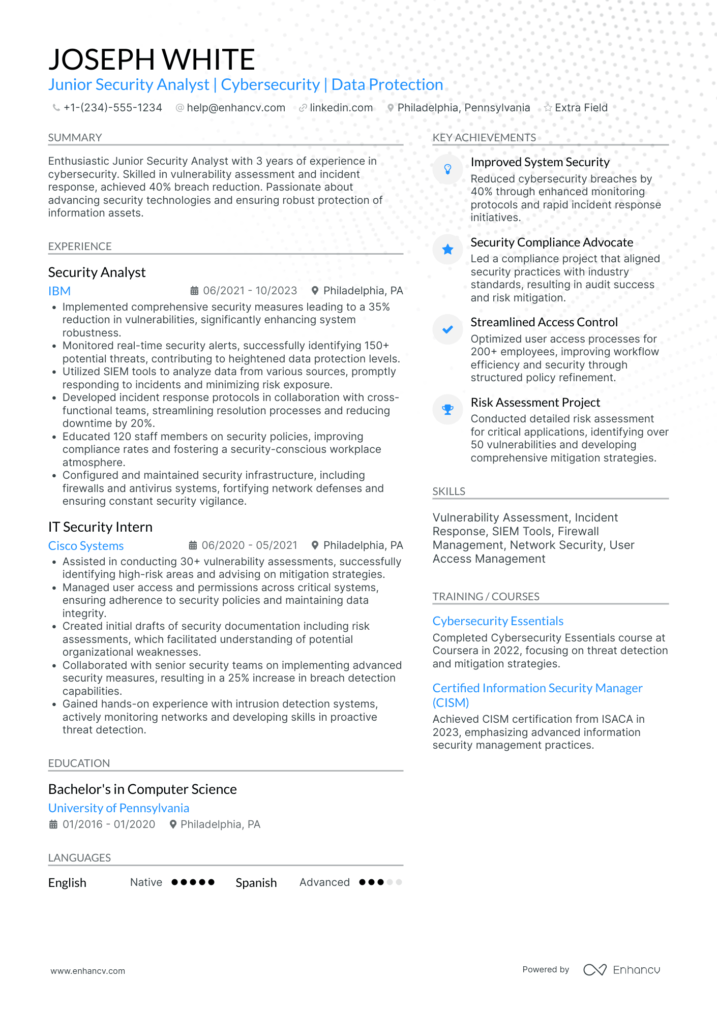 Junior Security Analyst Resume Example