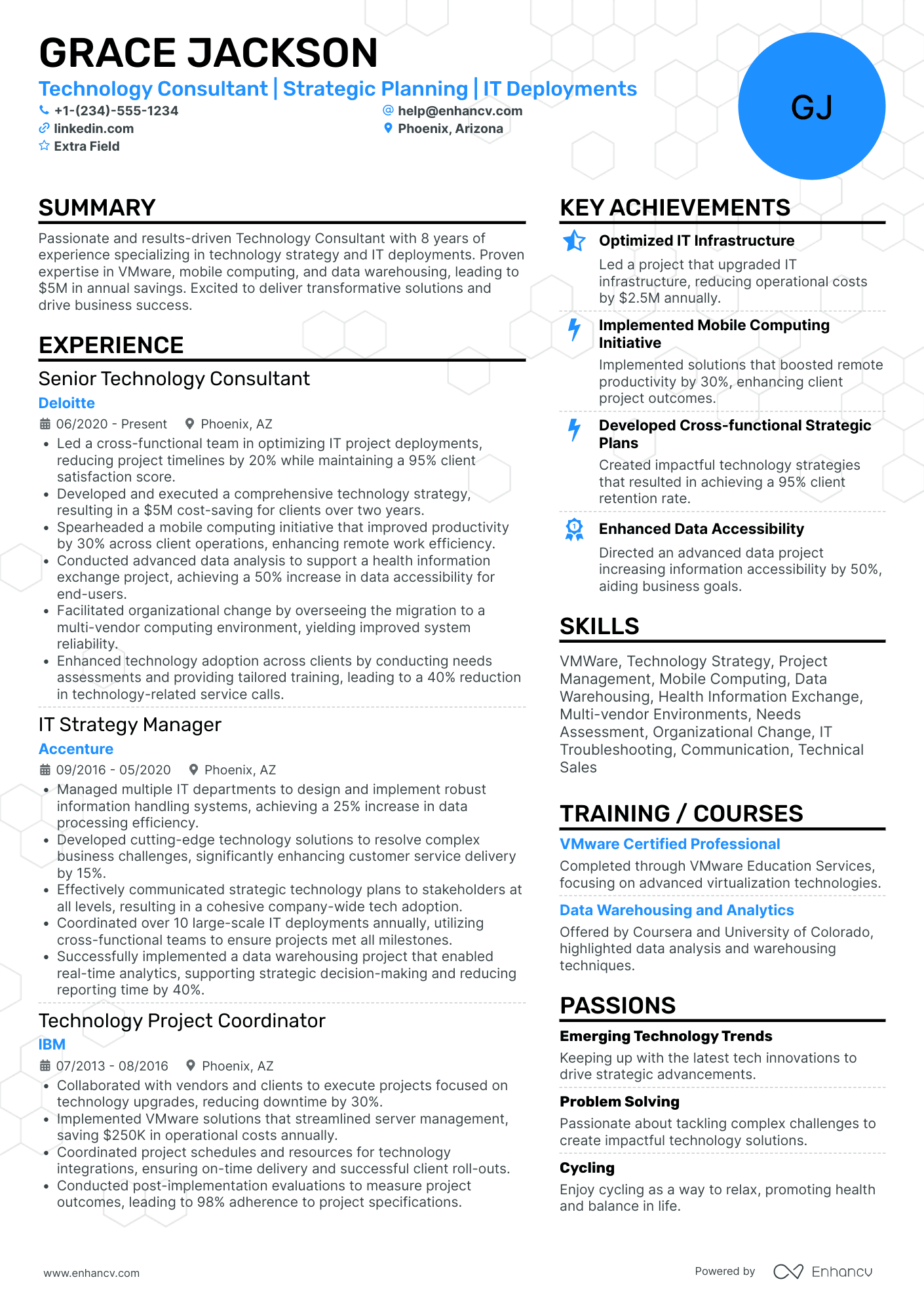 Technology Solutions Consultant Resume Example