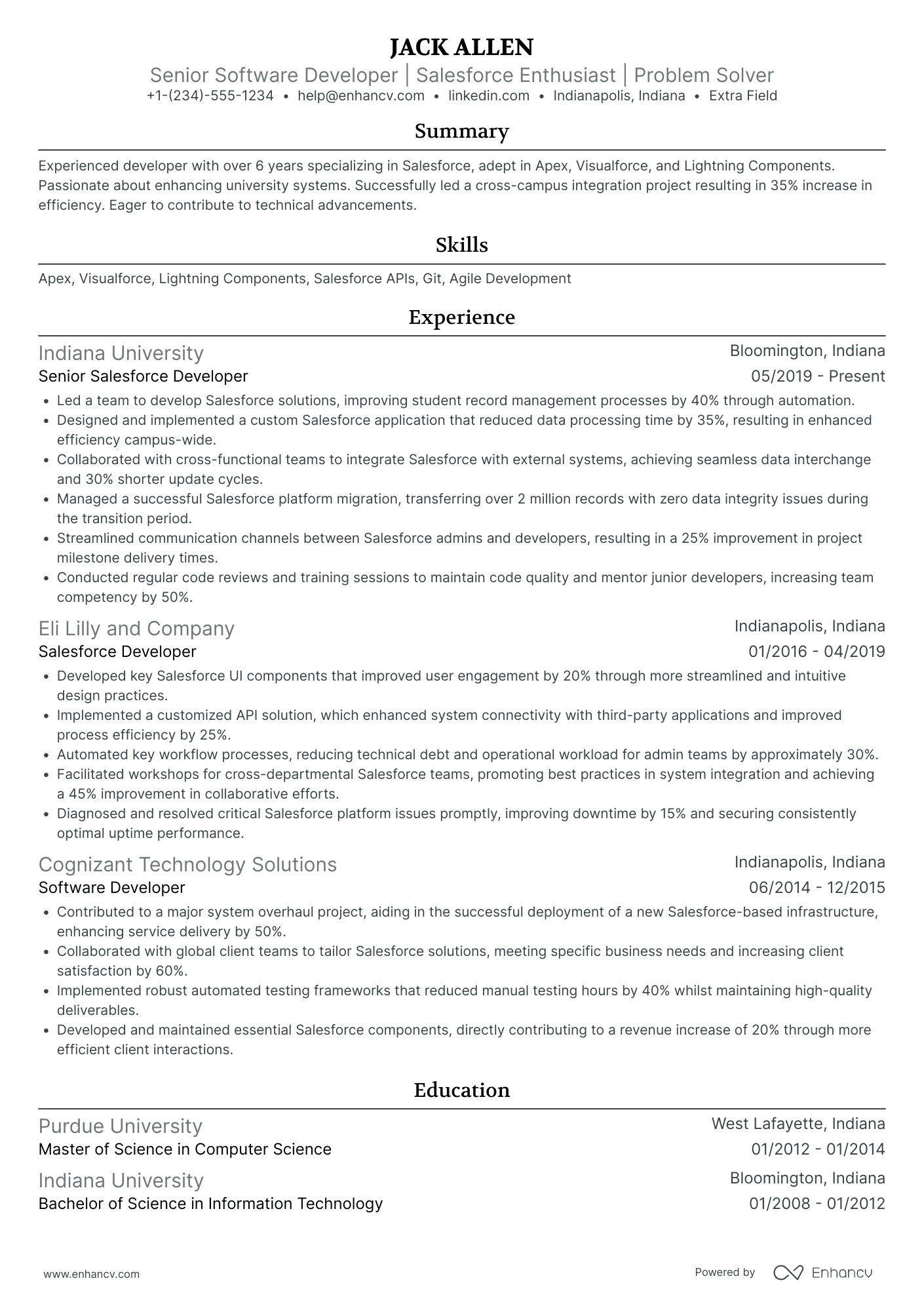 Salesforce Admin Developer Resume Example