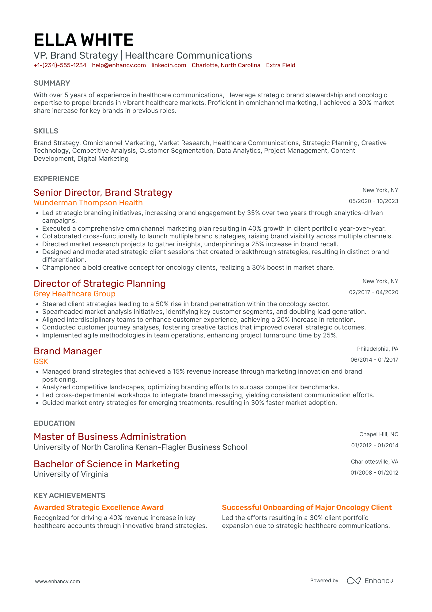 Vice President of Strategy Resume Example